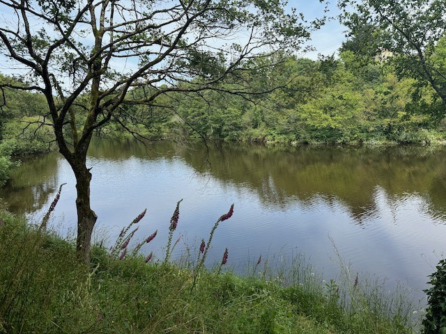 Terrain à bâtir avec vue exceptionnelle sur la rivière — photo 5