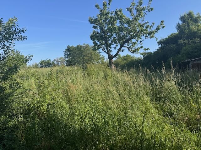 Ravissante maison en pierre à rénover — photo 10