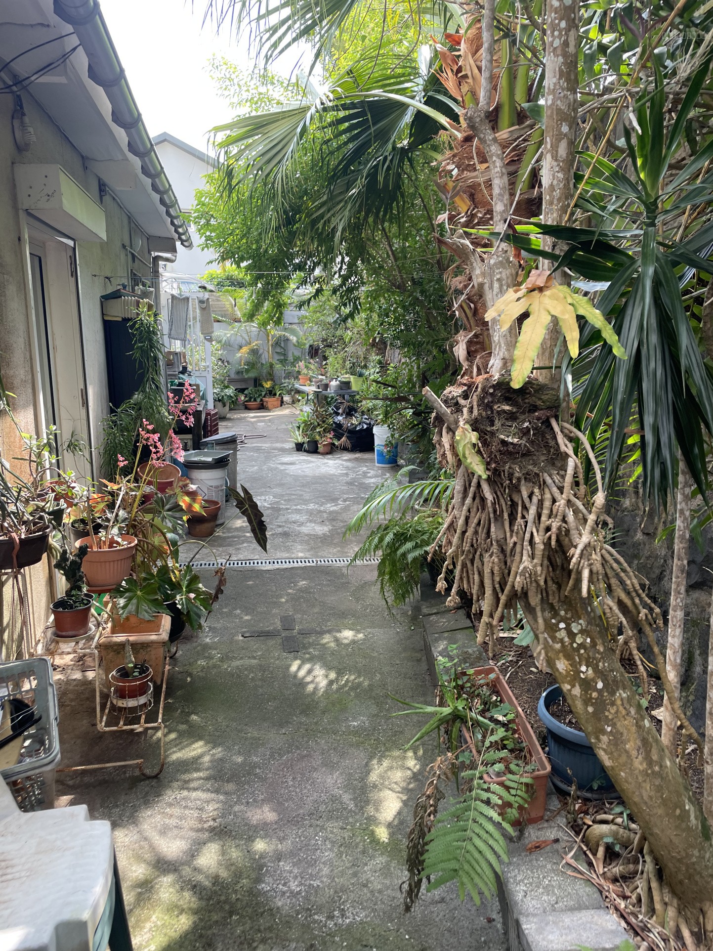 maison F4/5 de 160 m2 avec piscine à la Montagne secteur La vigie — photo 15