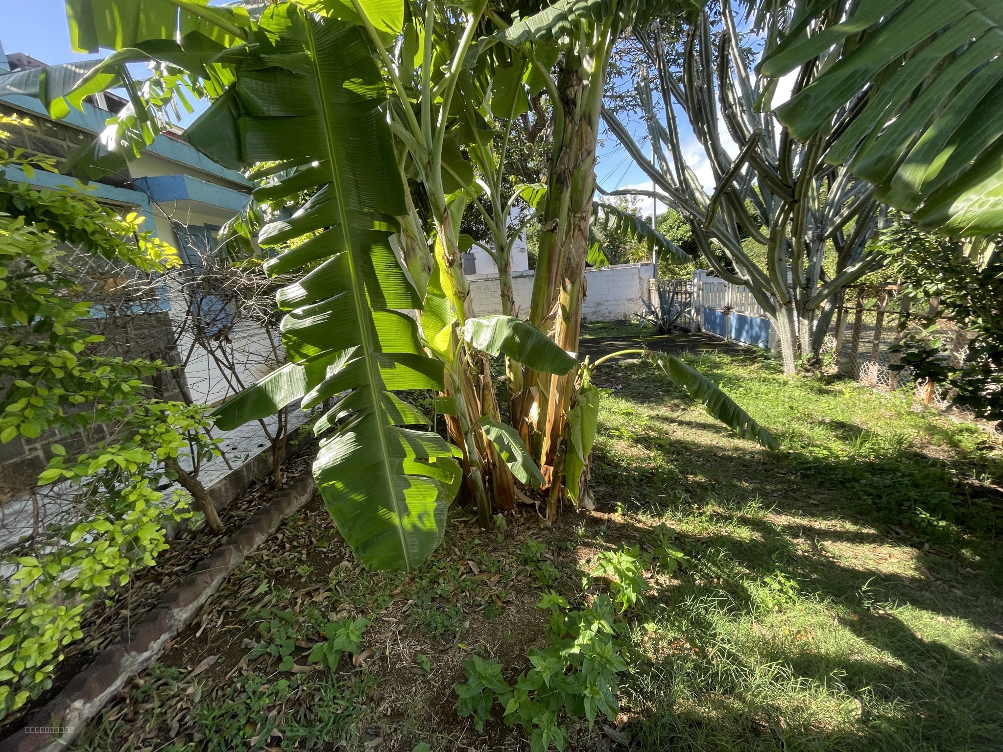 Maison F4 sur terrain de 525 m2 sur Saint Pierre Centre ville — photo 2