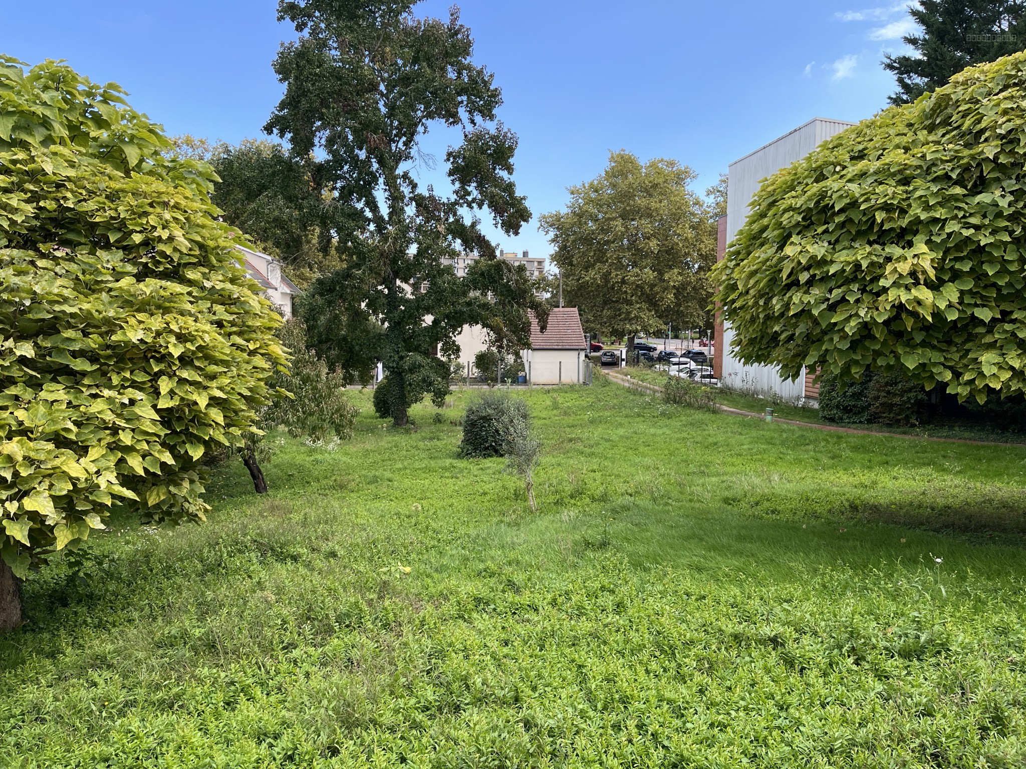 MAISON D'ARCHITECTE ST JEAN DES VIGNES — photo 13