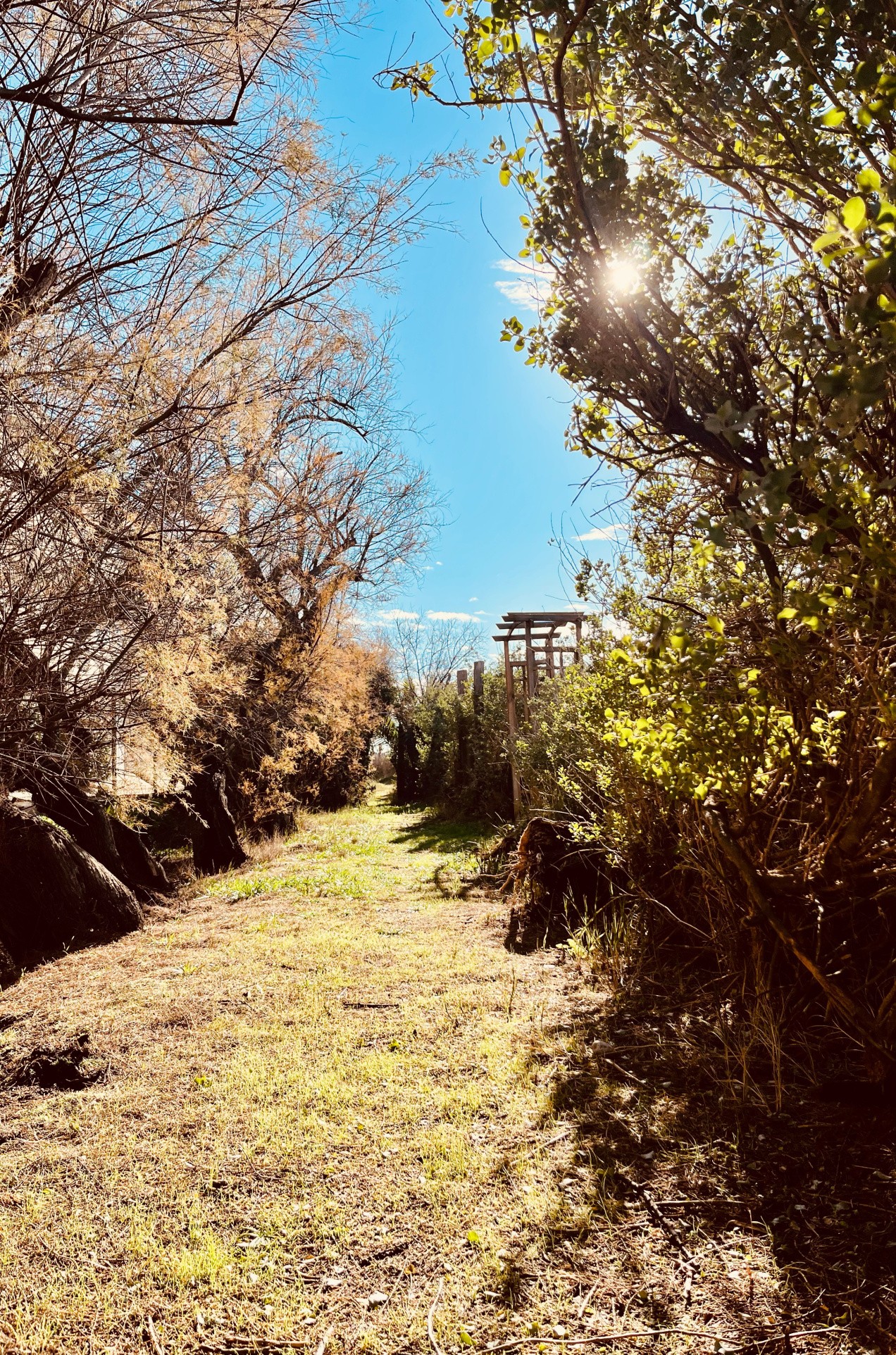 Villa d'exception Frontignan Plage — photo 16