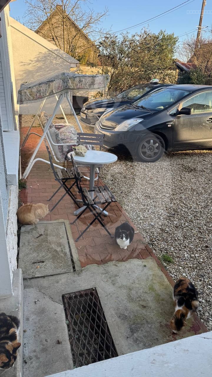 Maison 7 pièces à Balloy — photo 19