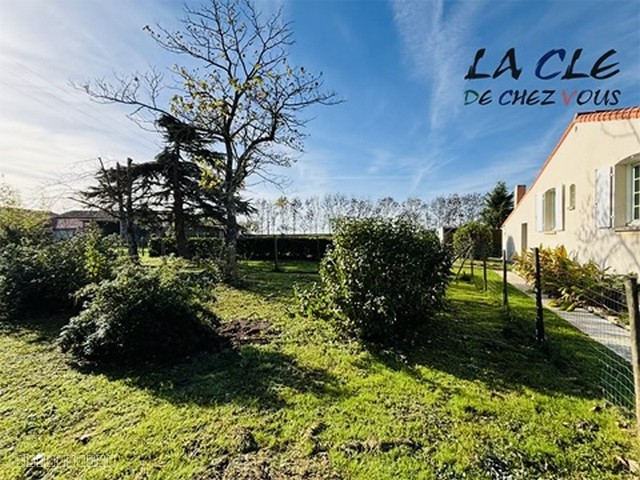 MAISON — photo 6