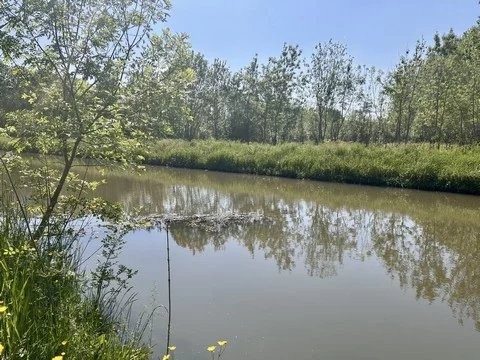 MAISON DE CHARME AU COEUR DU MARAIS POITEVIN — photo 10