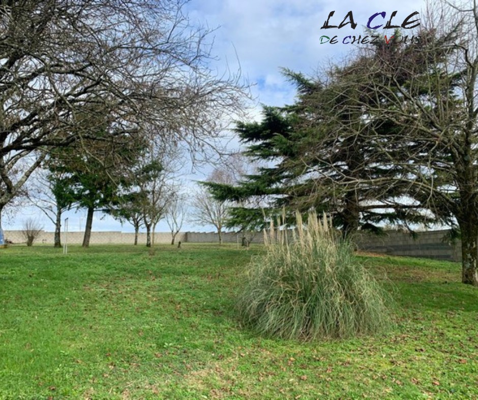 MAISON — photo 6