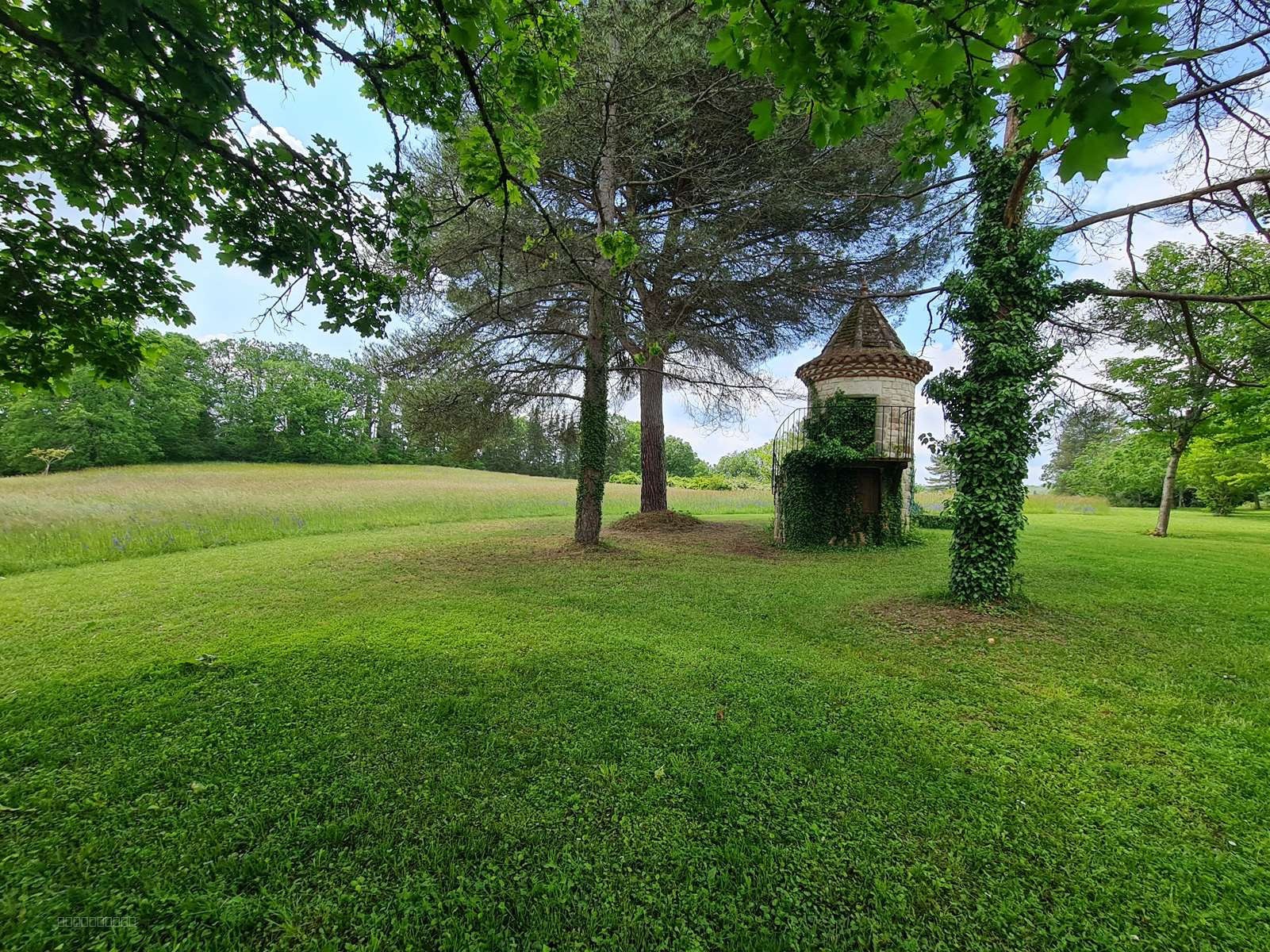 A VENDRE, entre Cordes sur Ciel et Cahuzac-Sur-Vèr — photo 12