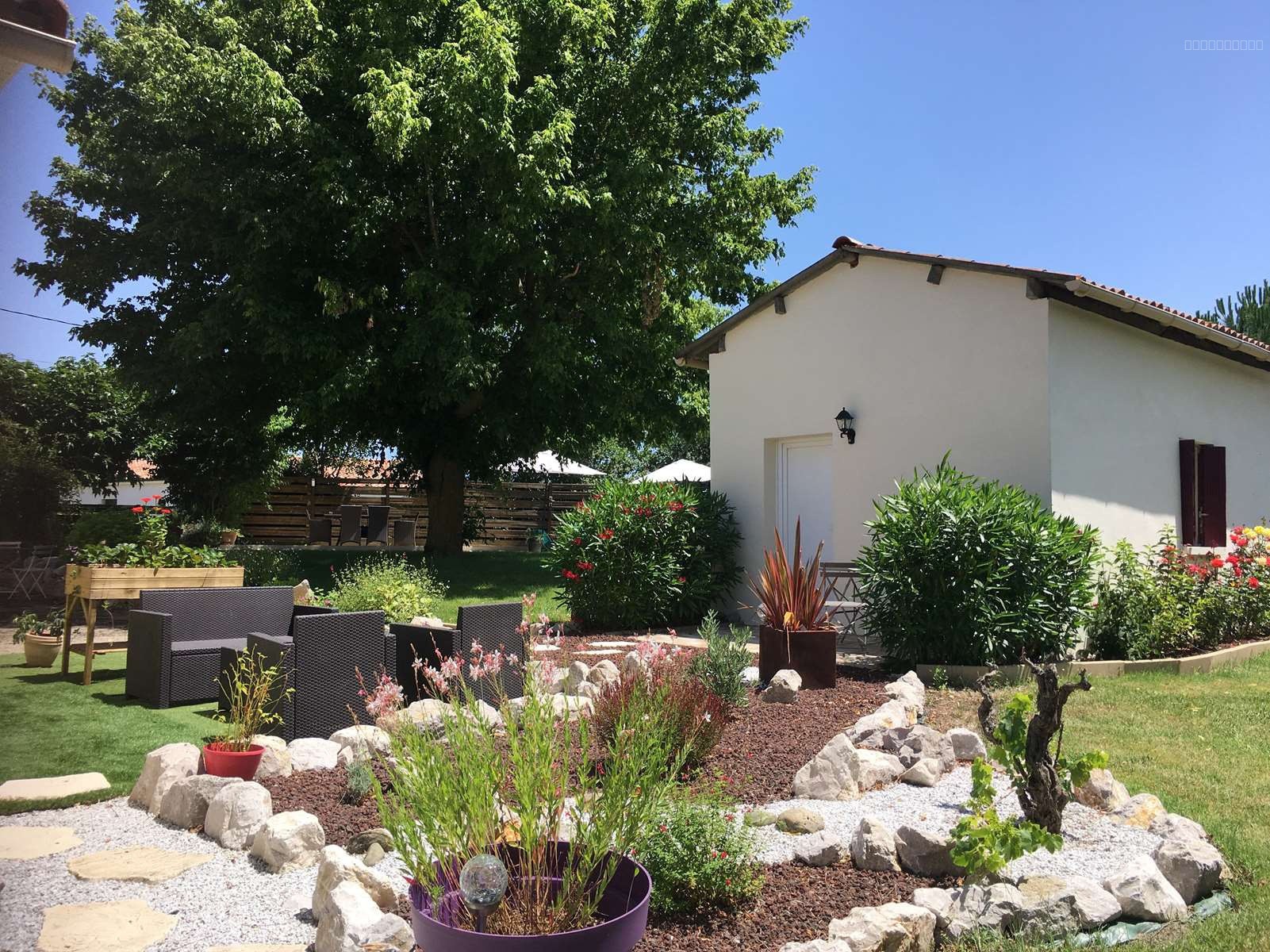 A vendre, CADALEN, grande maison de charme — photo 19
