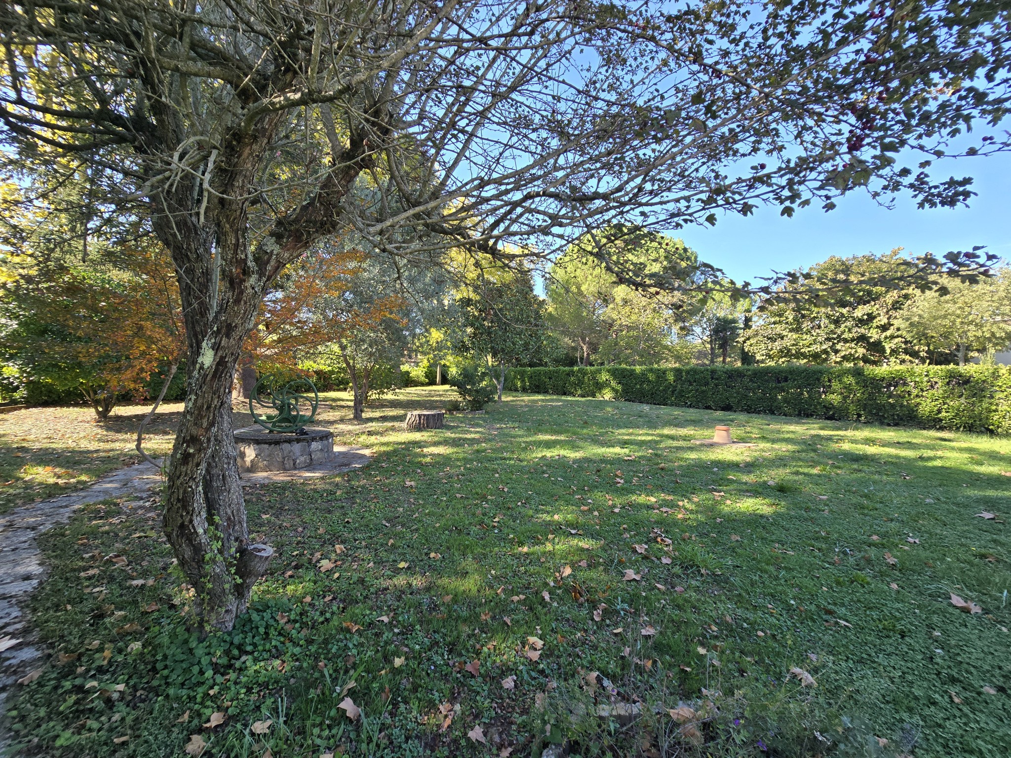Maison située sur la commune d'Albi — photo 3