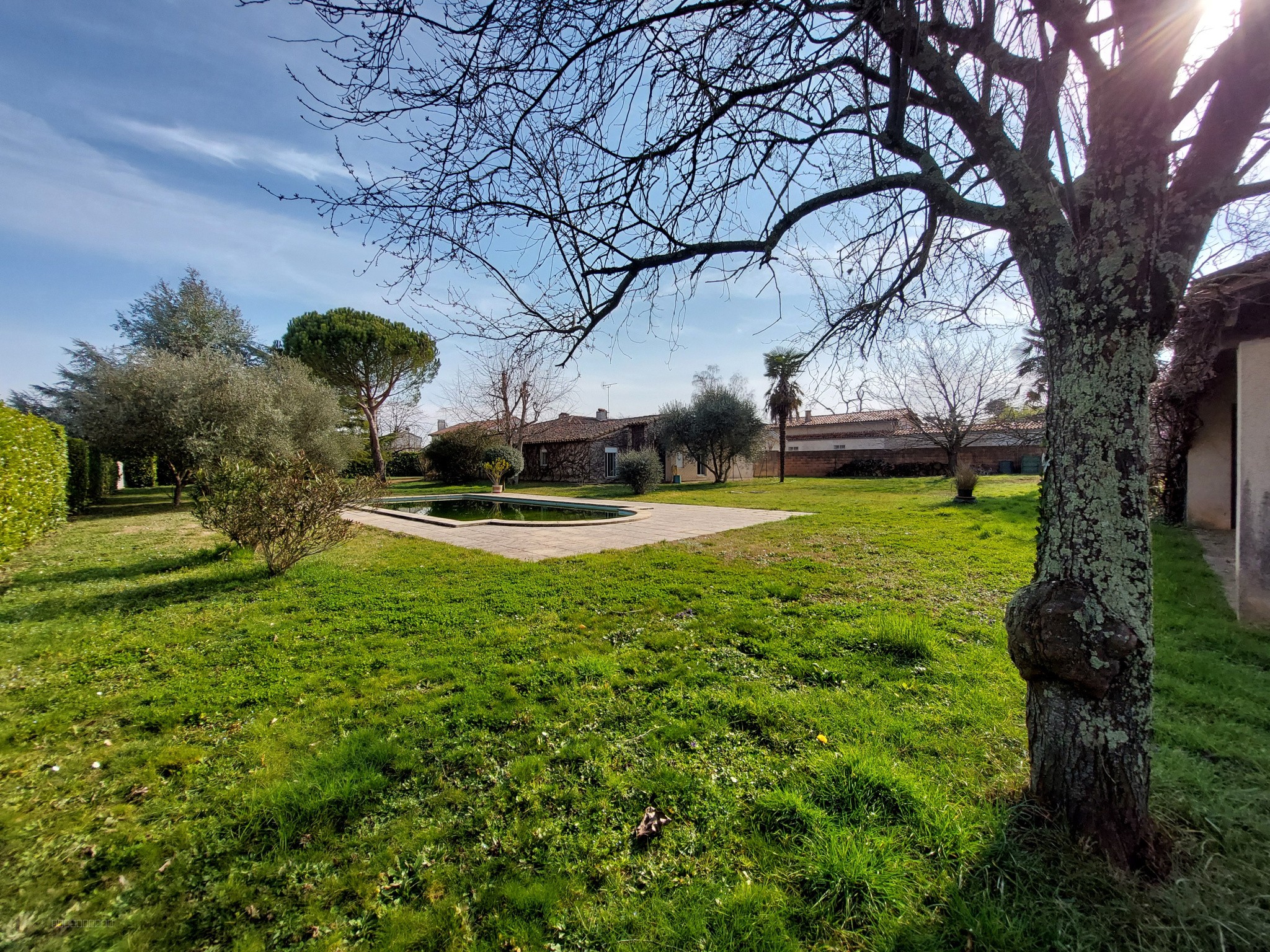 À Vendre, Marssac sur Tarn, Maison d'Architecte de — photo 2