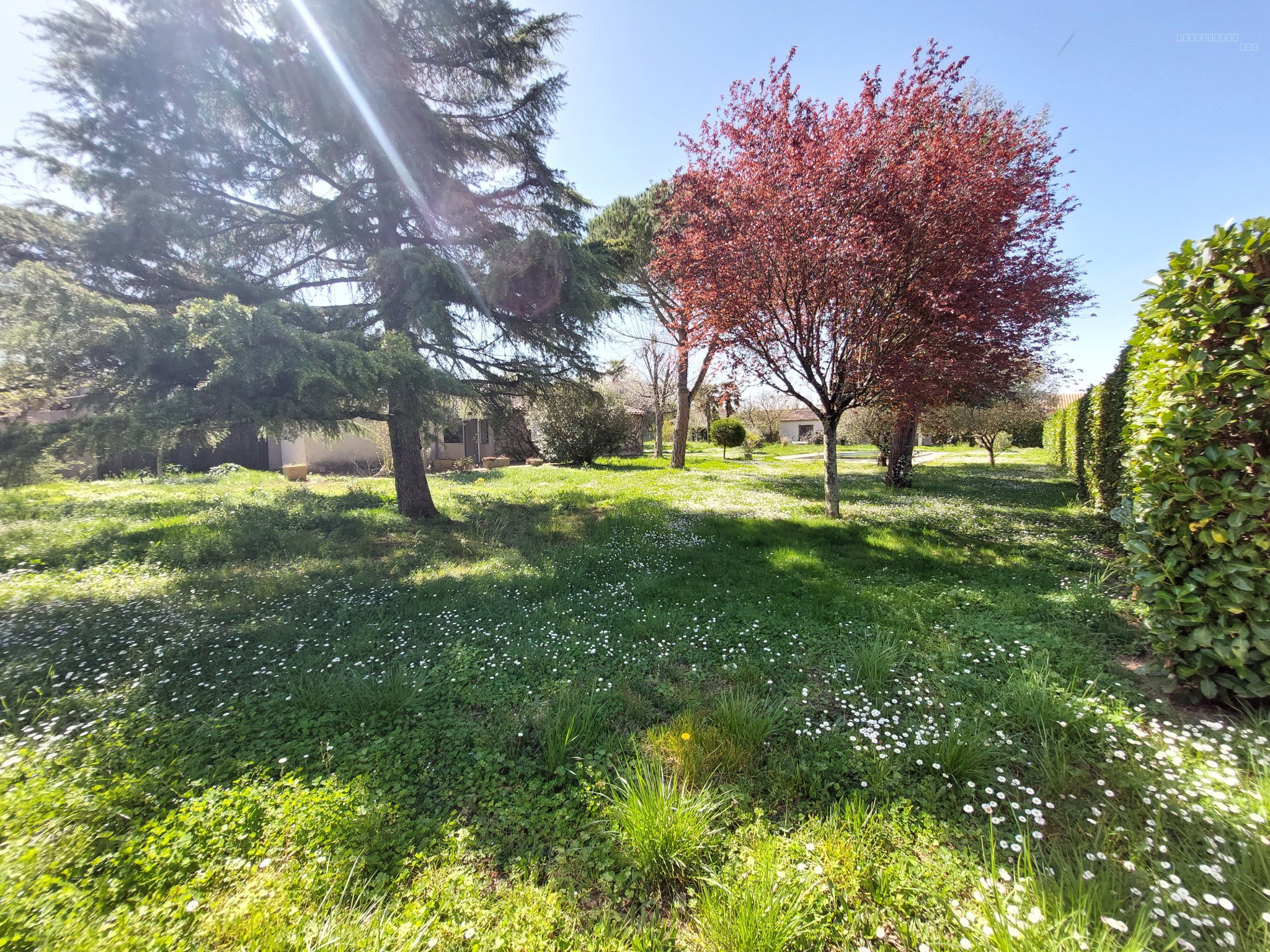 À Vendre, Marssac sur Tarn, Maison d'Architecte de — photo 13