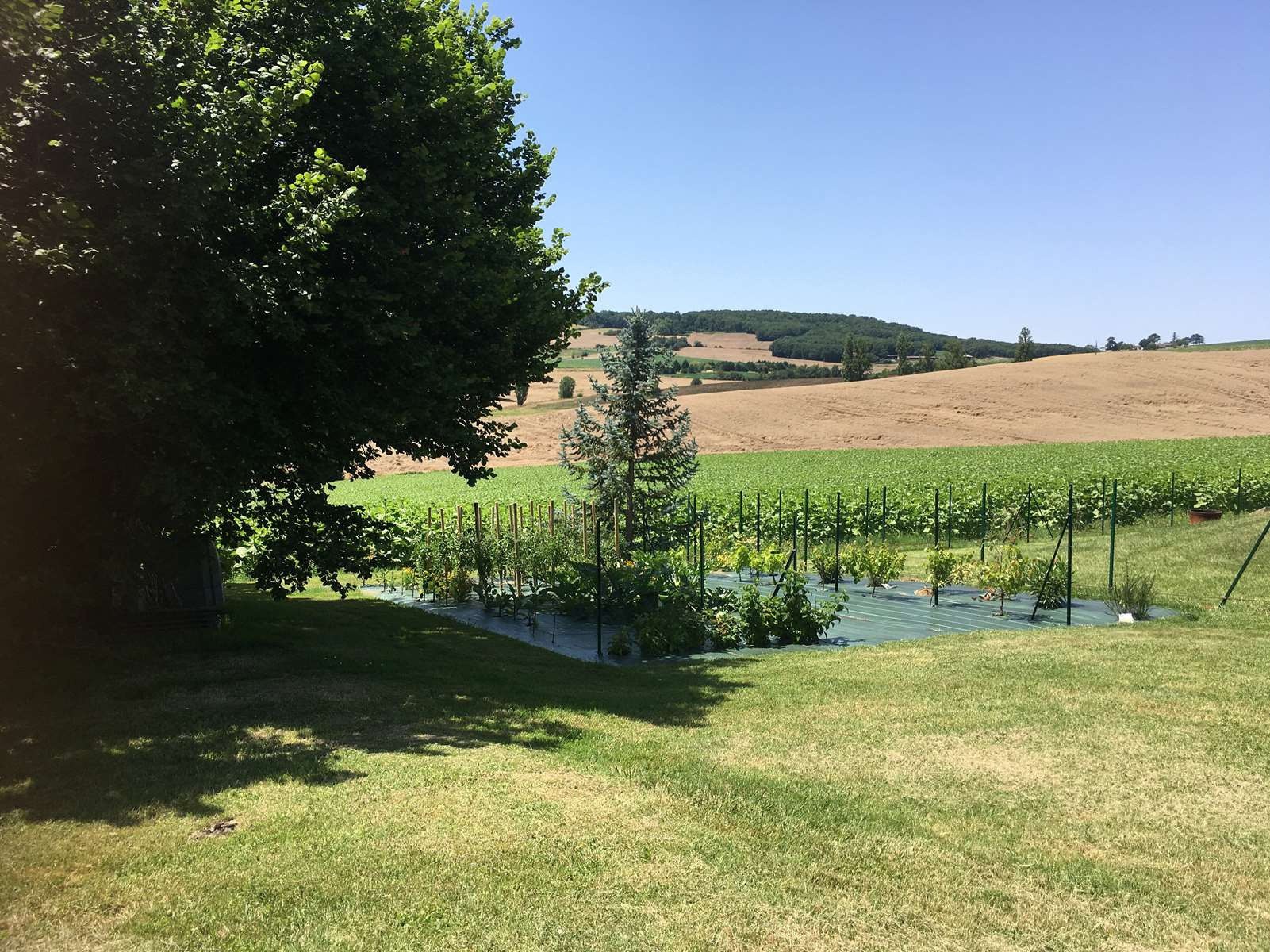 A vendre, CADALEN, grande maison de charme — photo 18