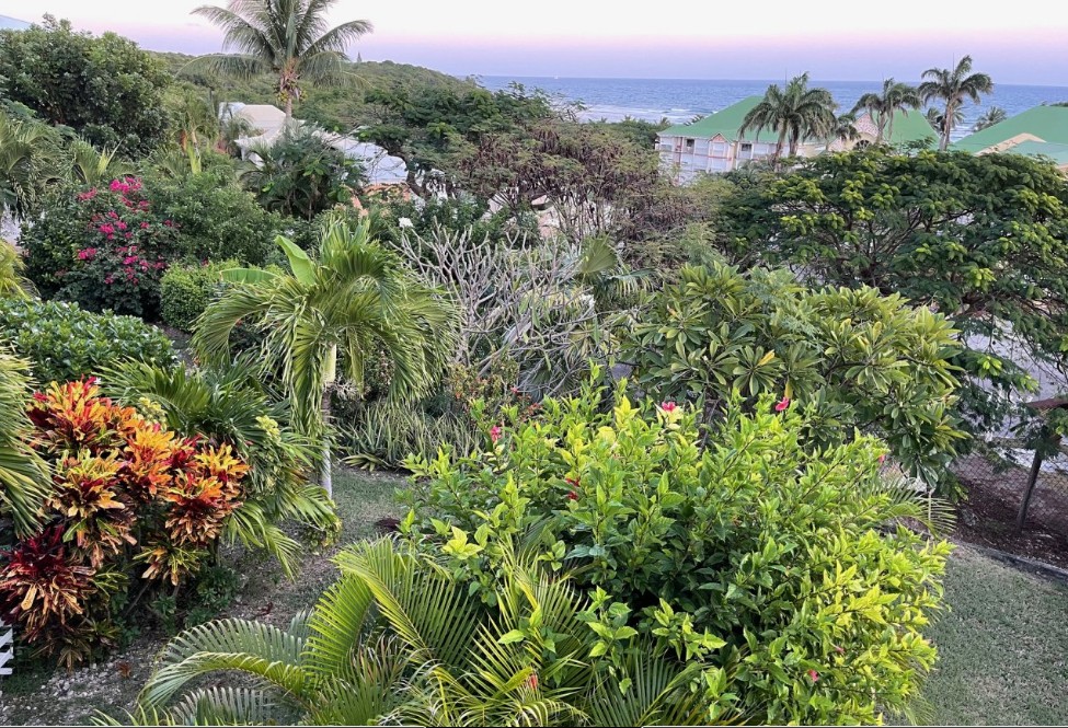 Appartement 50 m2 vue mer avec accès plage — photo 12