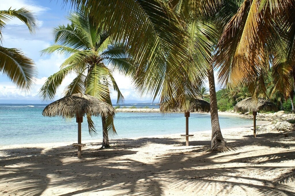Appartement 2 pièces avec piscine et plage — photo 11