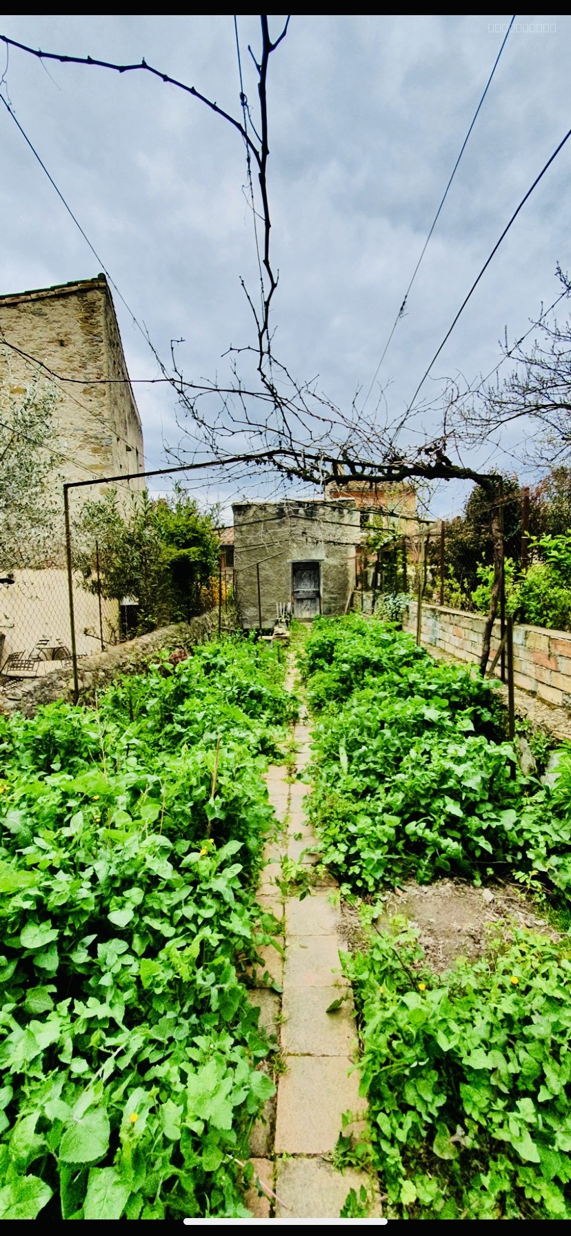 Au pied de la Cité maison avec patio, dépendance et jardin — photo 11