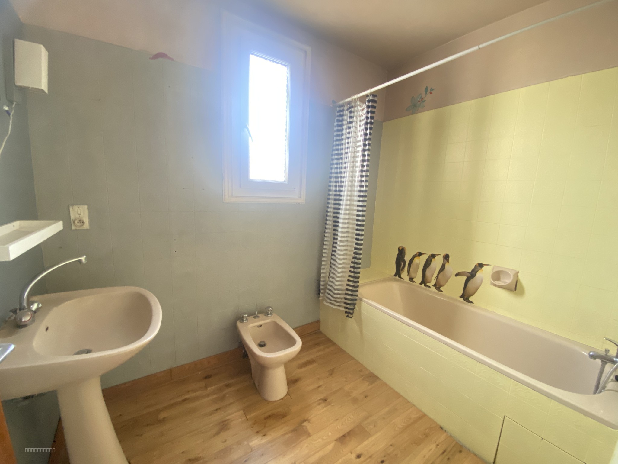 Village entre Limoux et Carcassonne. Villa scindée en deux logements — photo 12