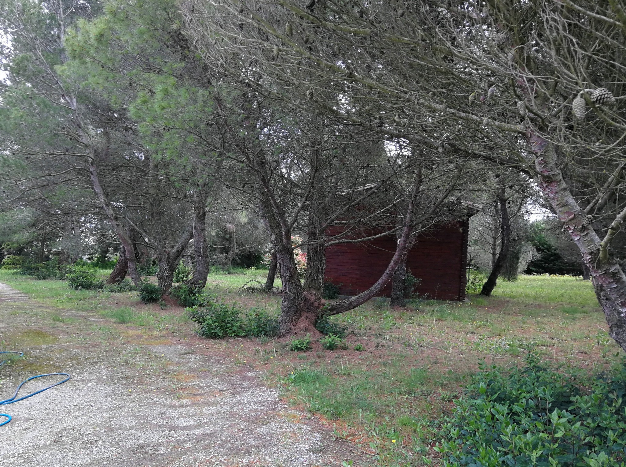 Axe Carcassonne-Lezignan: terrain à construire de 1585m2 — photo 2