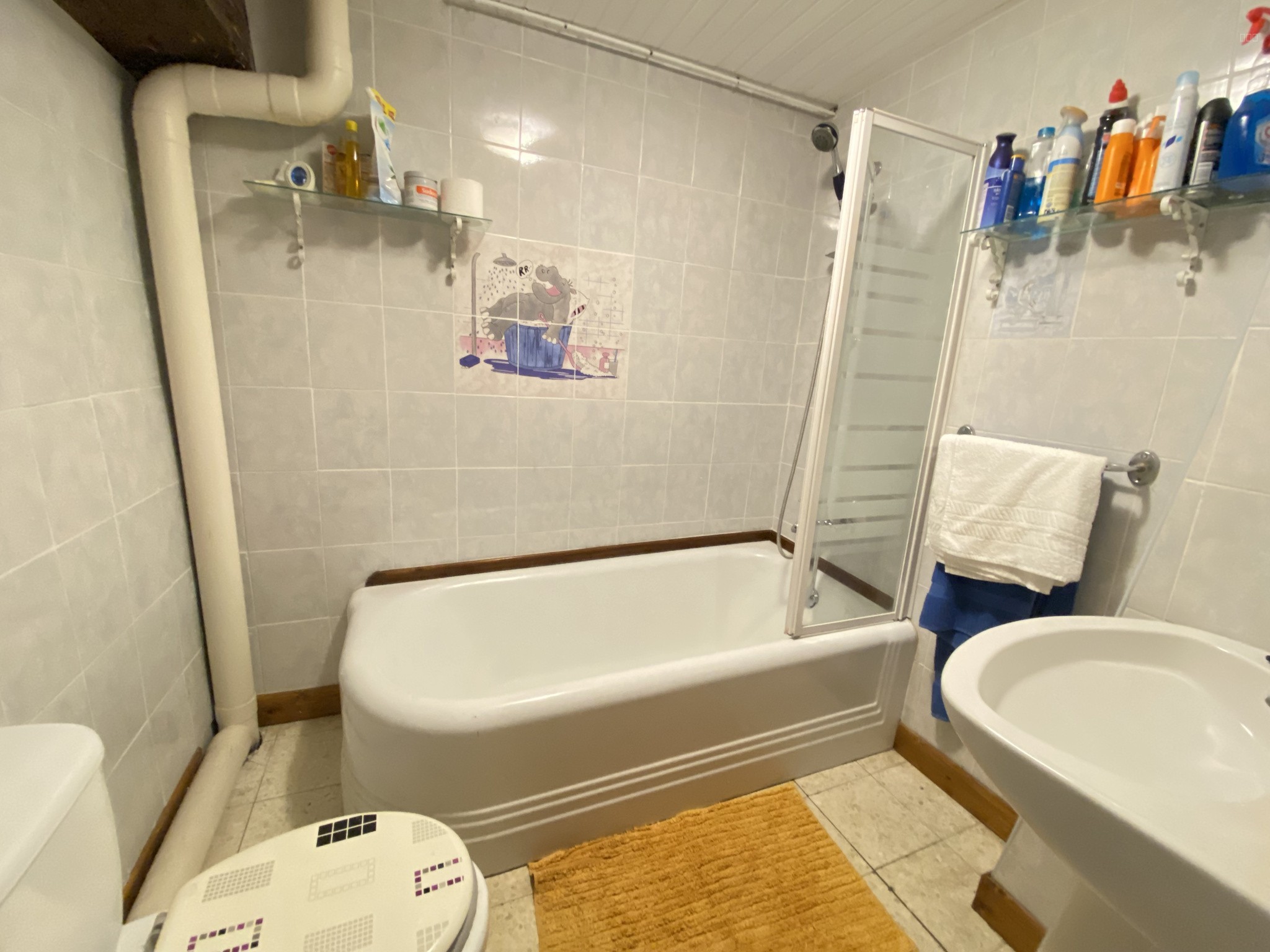PROCHE LIMOUX- MAISON DE CARACTERE  SUR TERRAIN ARBORE  DE PLUS DE 6000 m2 — photo 7