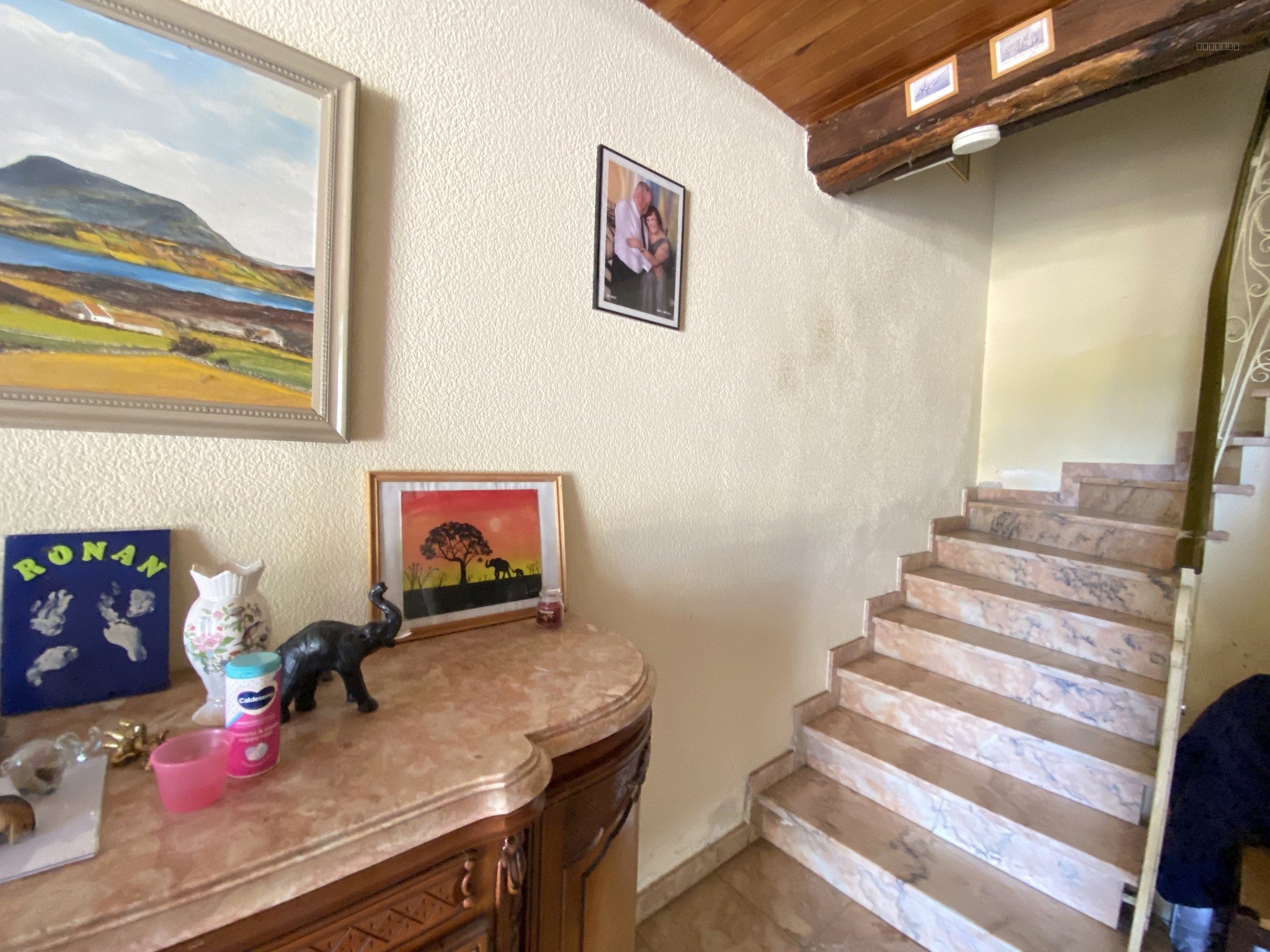 PROCHE LIMOUX- MAISON DE CARACTERE  SUR TERRAIN ARBORE  DE PLUS DE 6000 m2 — photo 5