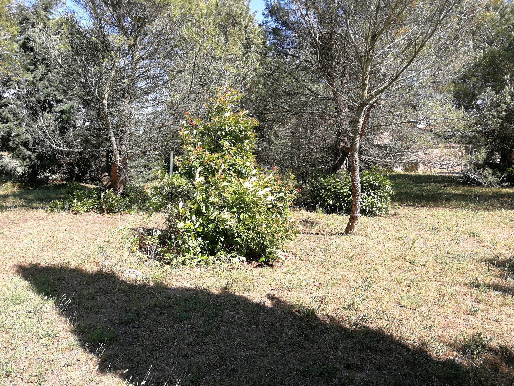 Axe Carcassonne-Lezignan: terrain à construire de 1585m2 — photo 3