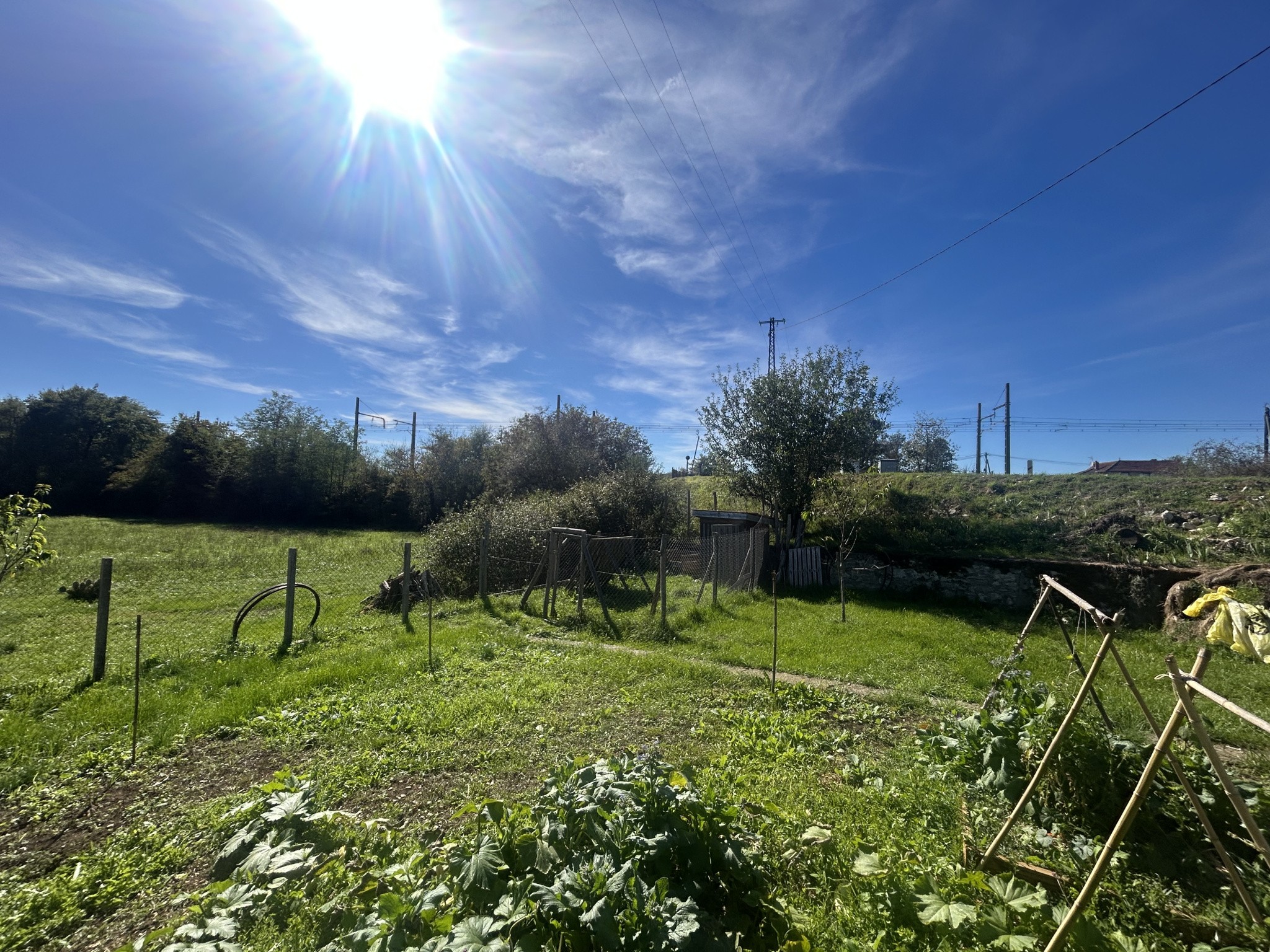 Maison en pierre avec gîte et grand terrain   Cressensac (Lot) — photo 18