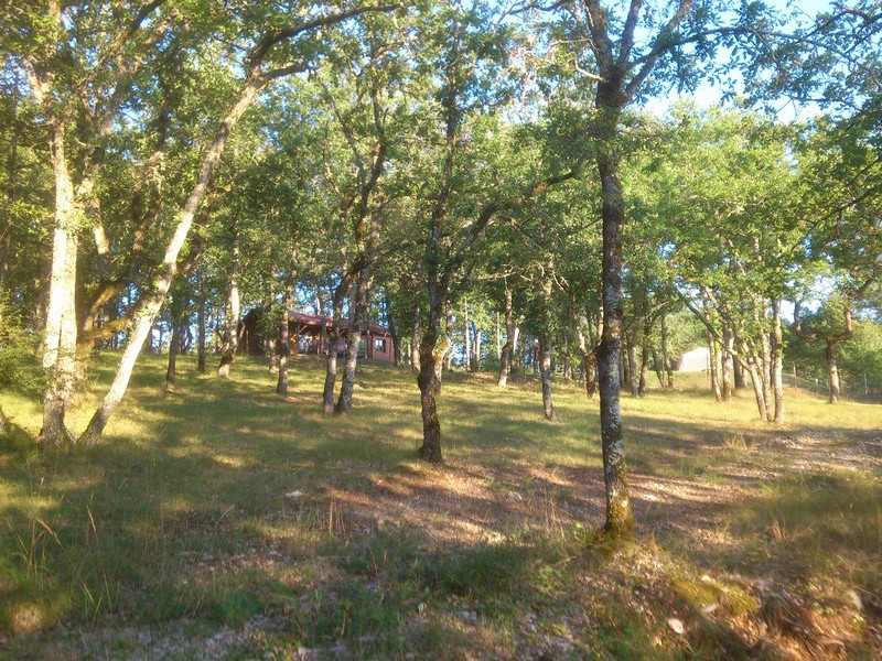 PROPRIÉTÉ TOURISTIQUE à LOUPIAC  46 — photo 13