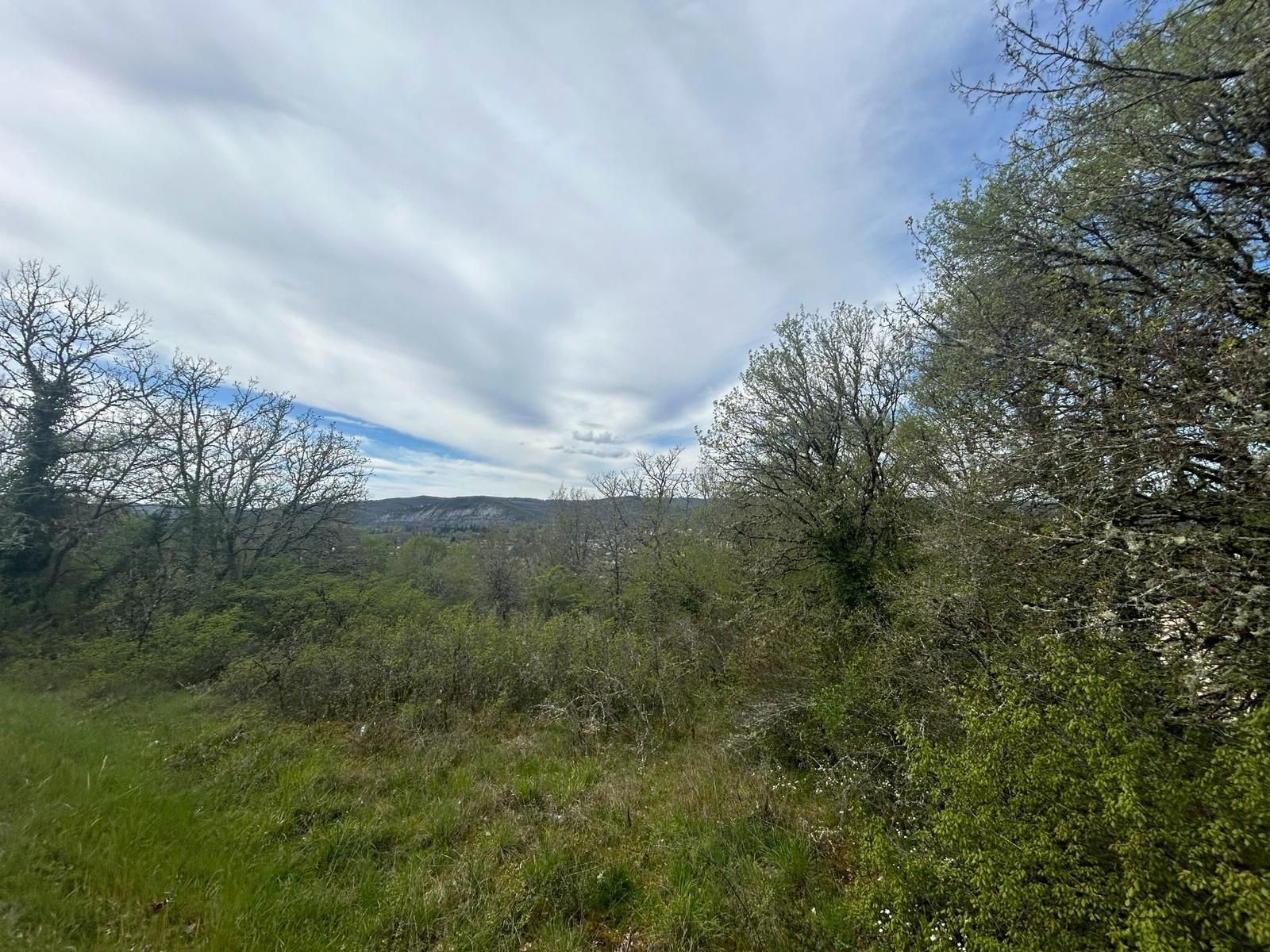Terrain de 3 132 m2 avec vue  Souillac 46 — photo 2