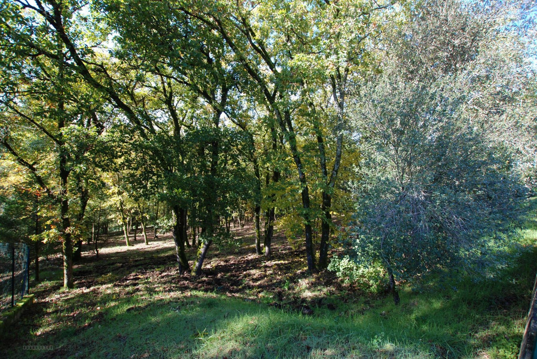 TERRAIN CONSTRUCTIBLE AVEC VUE   SOUILLAC (46200) — photo 6