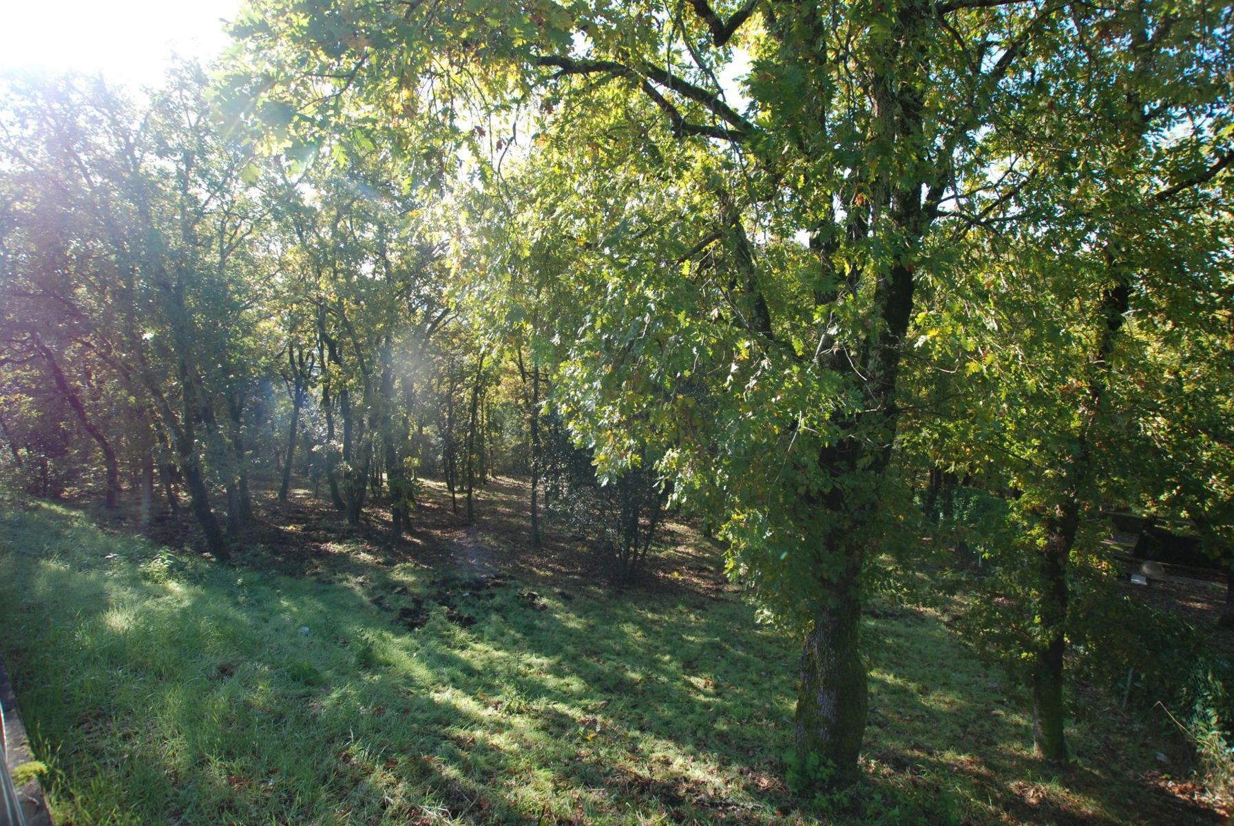 TERRAIN CONSTRUCTIBLE AVEC VUE   SOUILLAC (46200) — photo 5