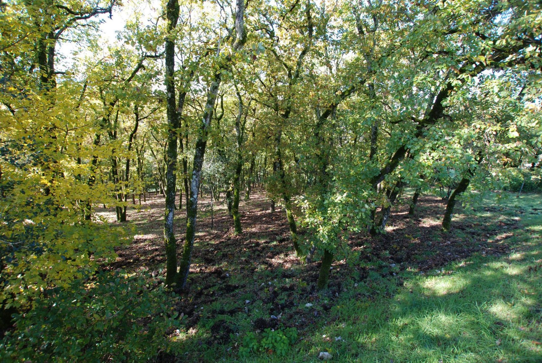 TERRAIN CONSTRUCTIBLE AVEC VUE   SOUILLAC (46200) — photo 7