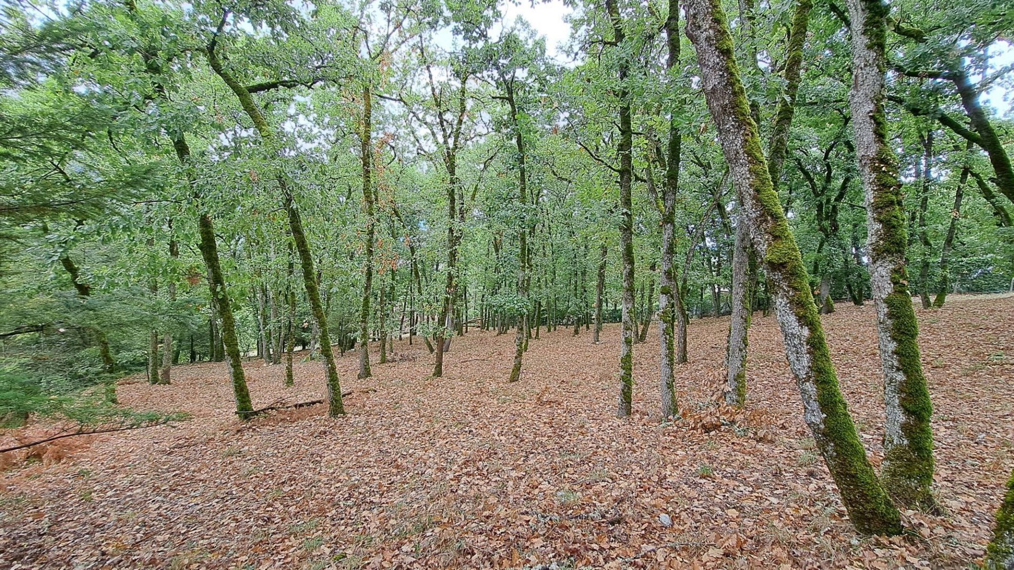 TERRAIN CONSTRUCTIBLE AVEC VUE   SOUILLAC (46200) — photo 4