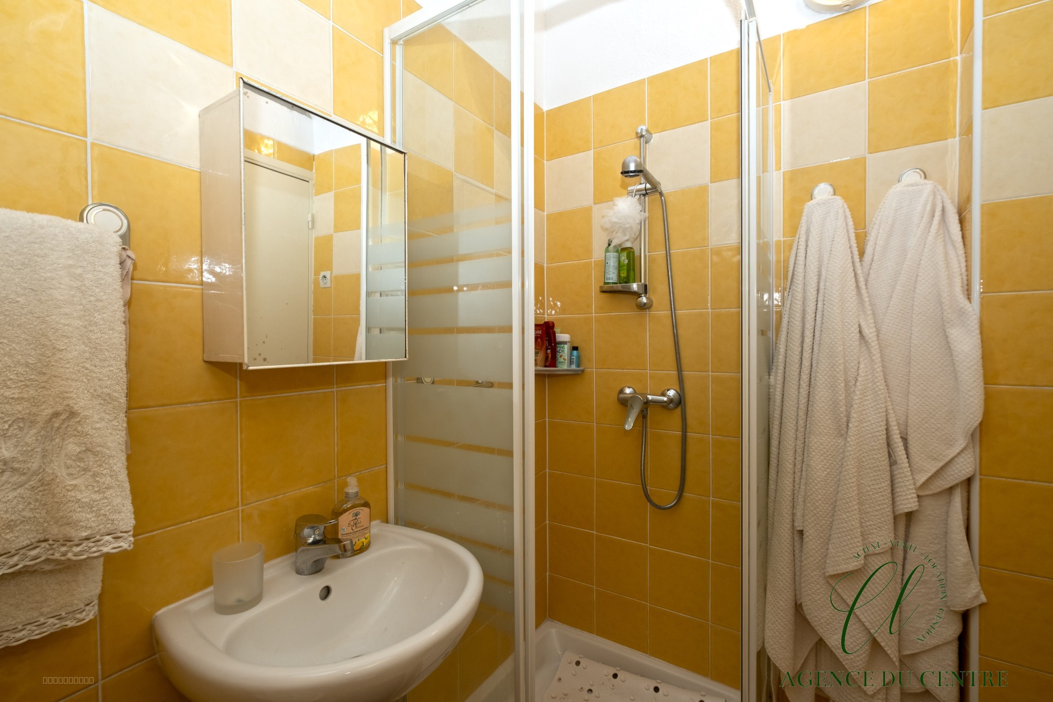 NICE / CARRE D'OR — photo 14