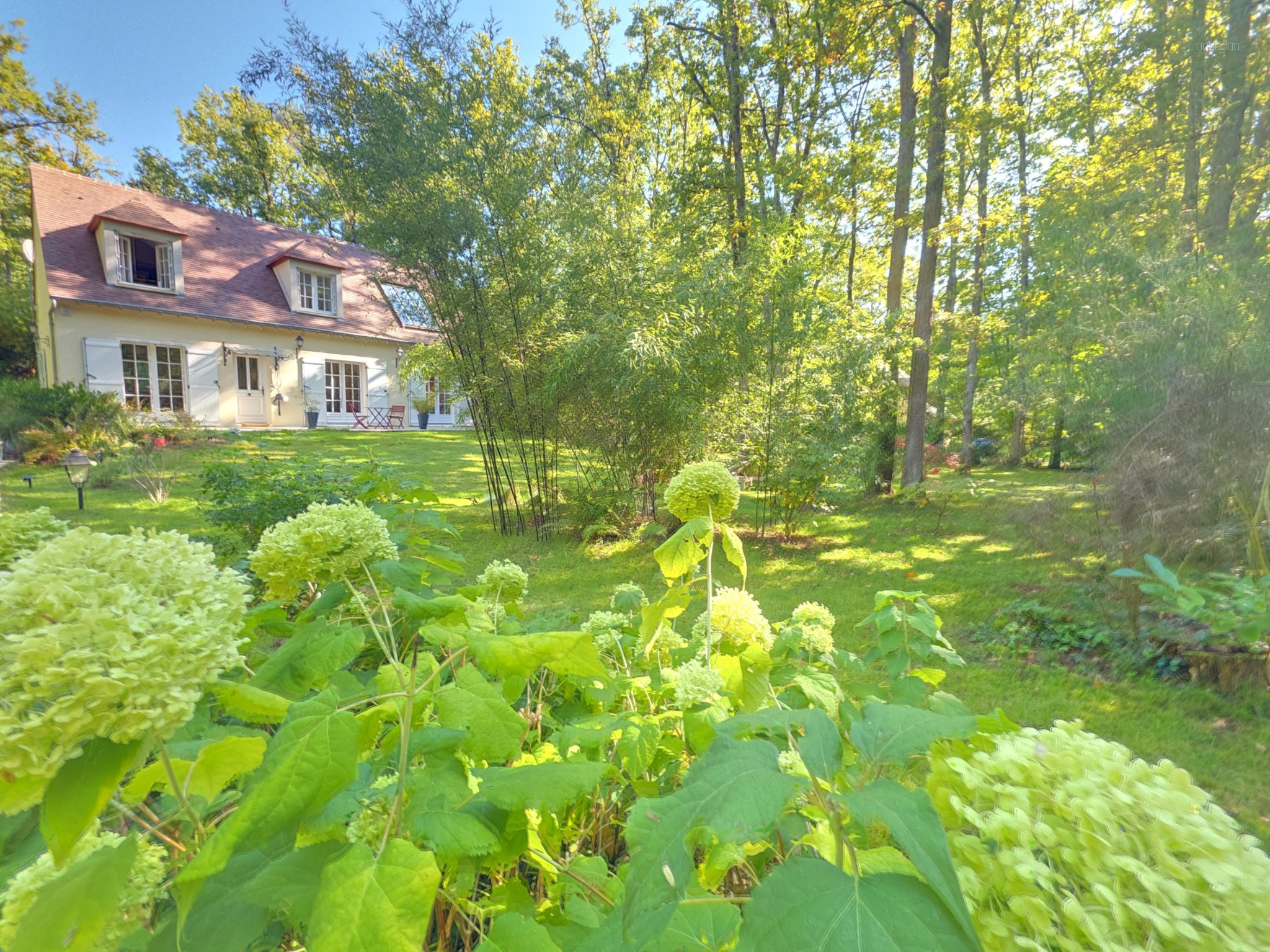 MAISON D'EXCEPTION AU CALME ABSOLU À NOISY-SUR-ÉCOLE - JARDIN FORESTIER — photo 7