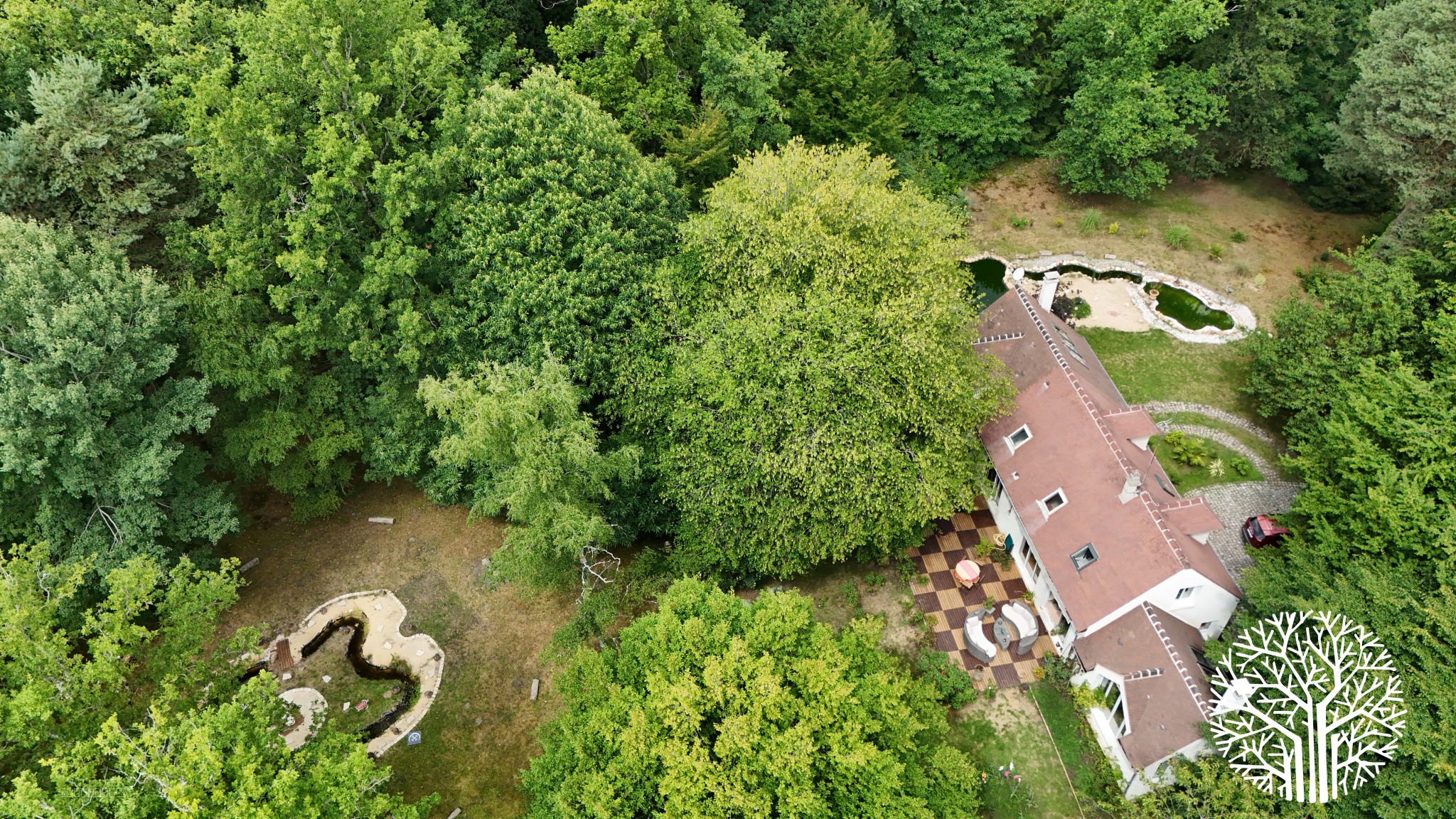 Superbe propriété forestière avec maison familiale et studio indépendant — photo 4