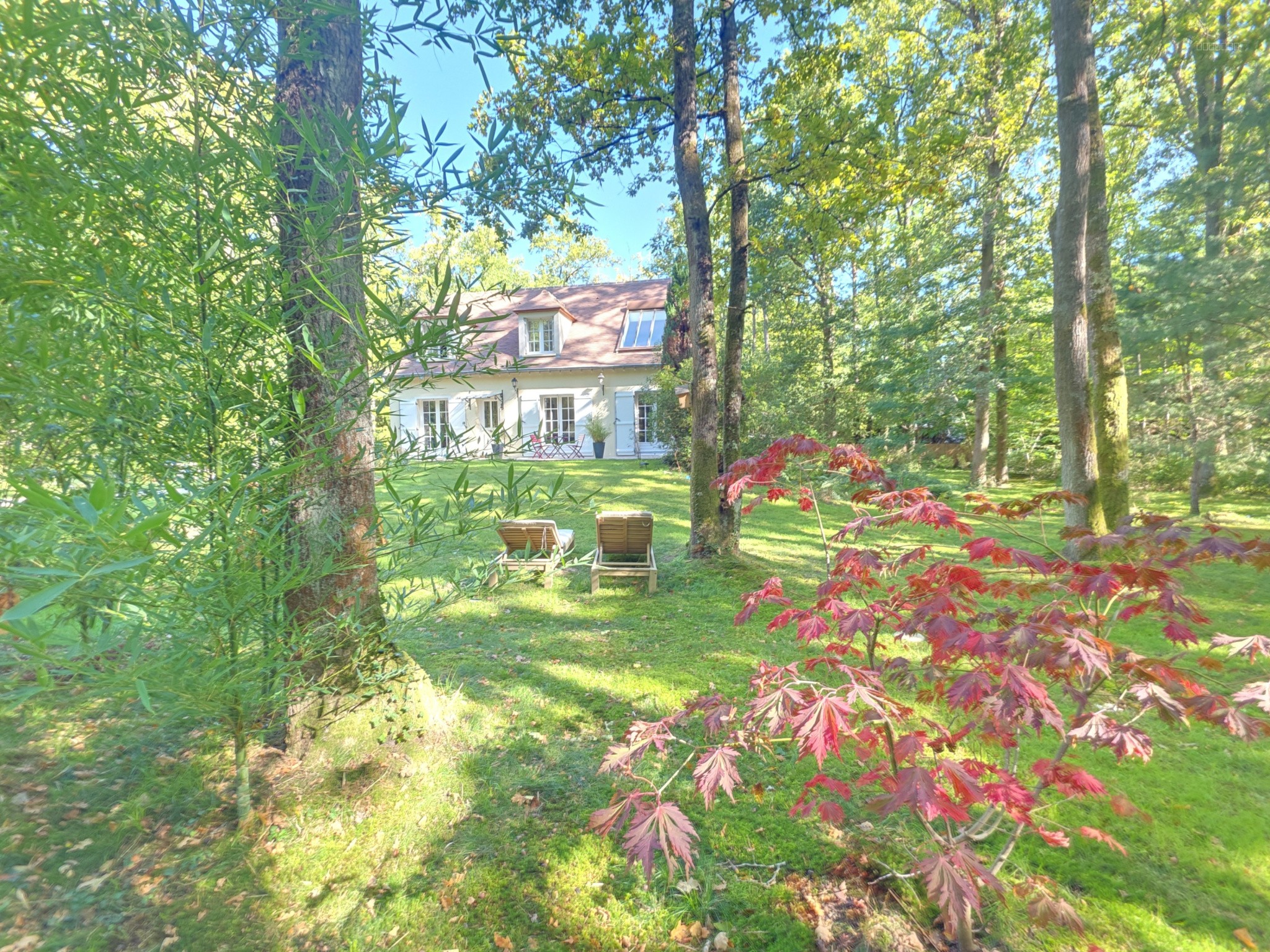 MAISON D'EXCEPTION AU CALME ABSOLU À NOISY-SUR-ÉCOLE - JARDIN FORESTIER — photo 3