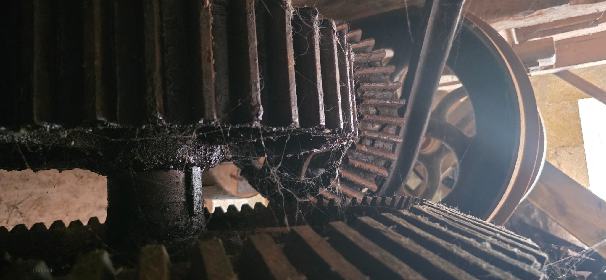 Un Hectare de Rêve au Bord de l'Eau par l'Agence du Bois Dormant — photo 8