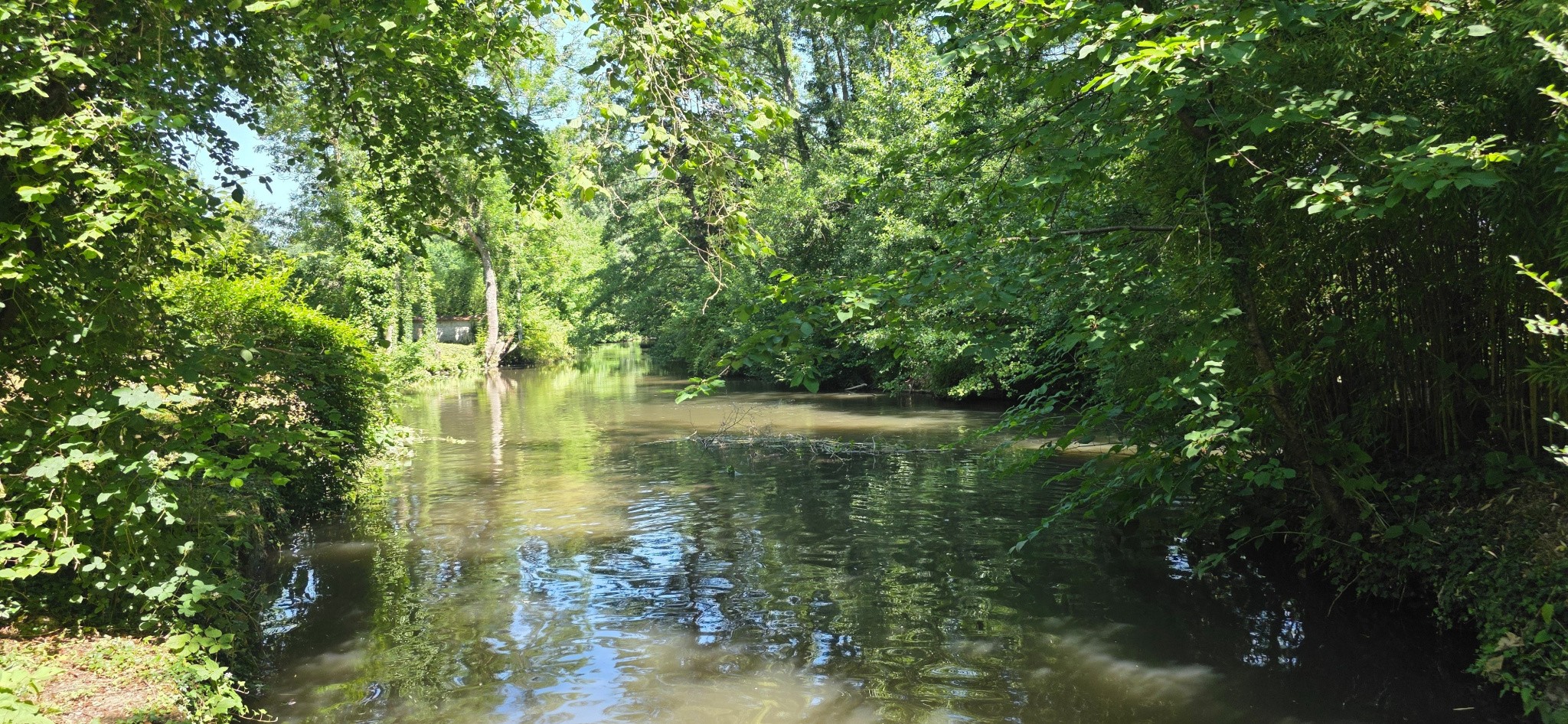 Un Hectare de Rêve au Bord de l'Eau par l'Agence du Bois Dormant — photo 7