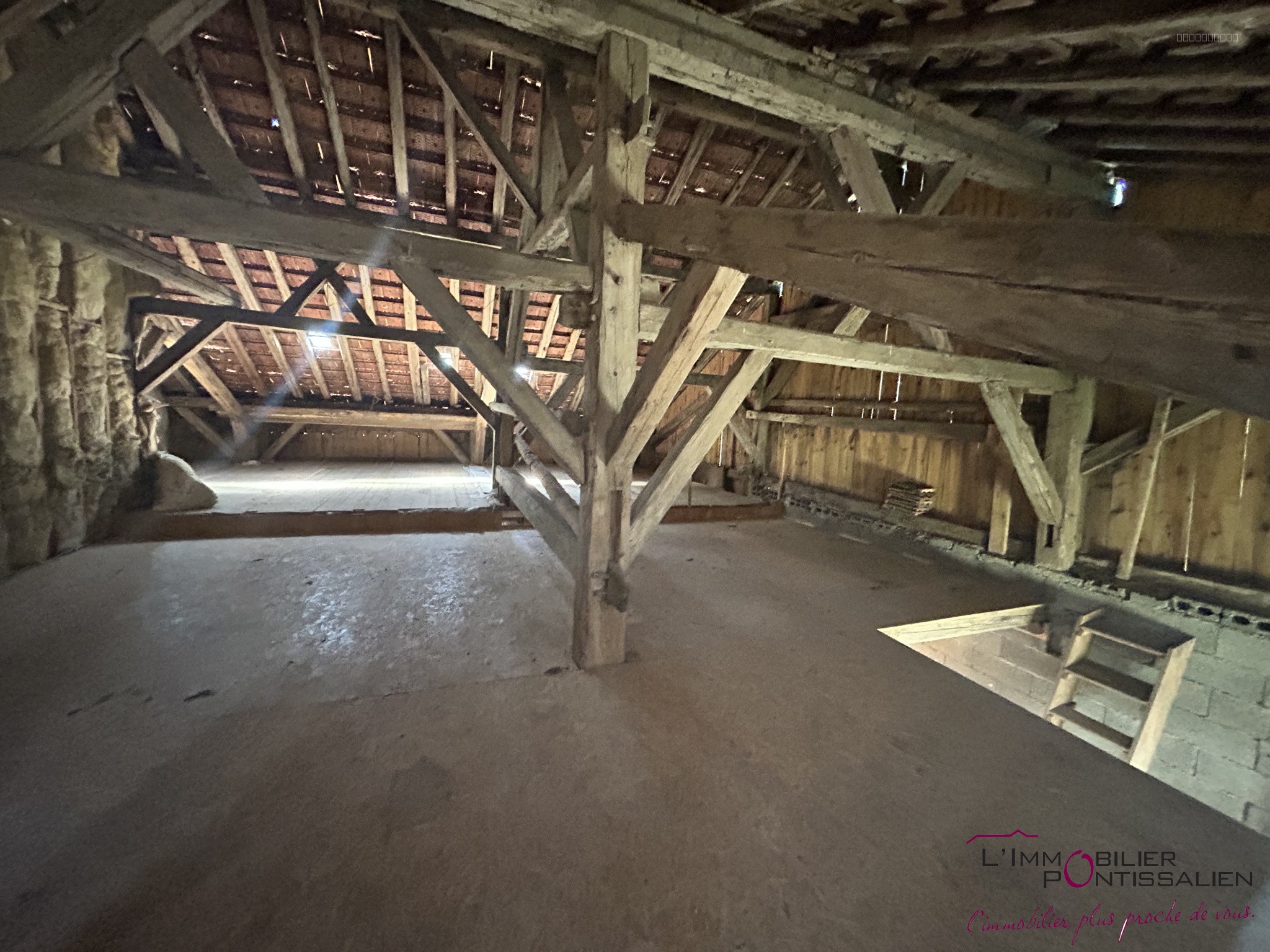 MAISON INDIVIDUELLE MALPAS A FORT POTENTIEL SUR 618 M2. — photo 3
