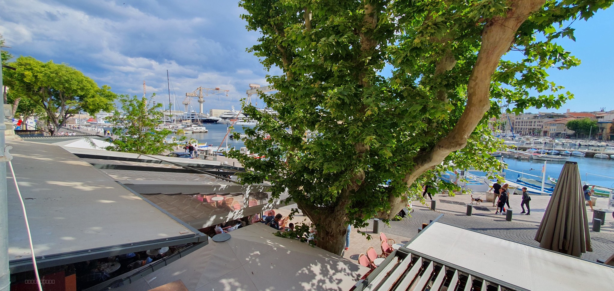 SOUS OFFRE - RARE studio La Ciotat vue directe Vieux Port — photo 4