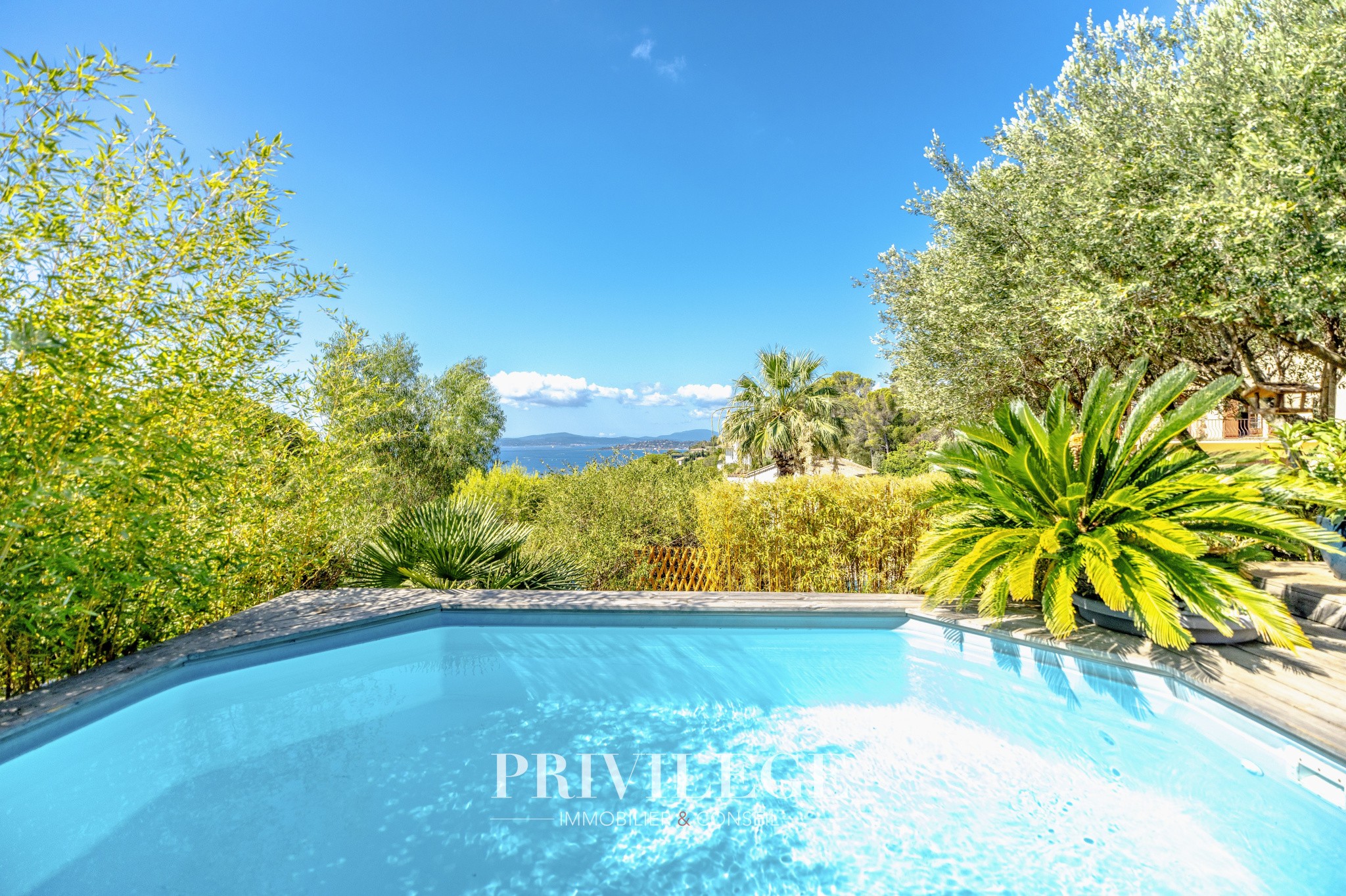 Propriété d'exception comprenant 2 maisons sur 4 ha - Puget sur argens — photo 5
