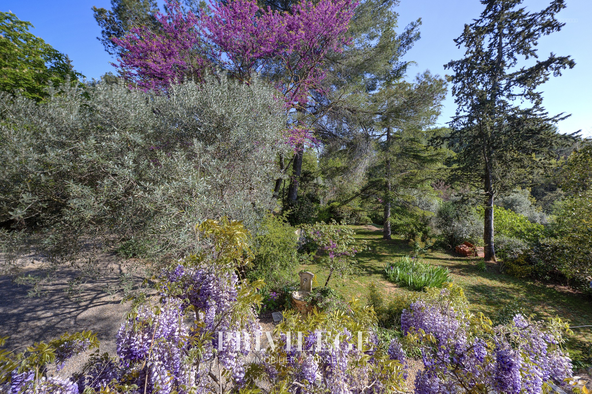 Charme et Caractère : Bastide en Pierre avec Piscine et Parc à Draguignan — photo 5