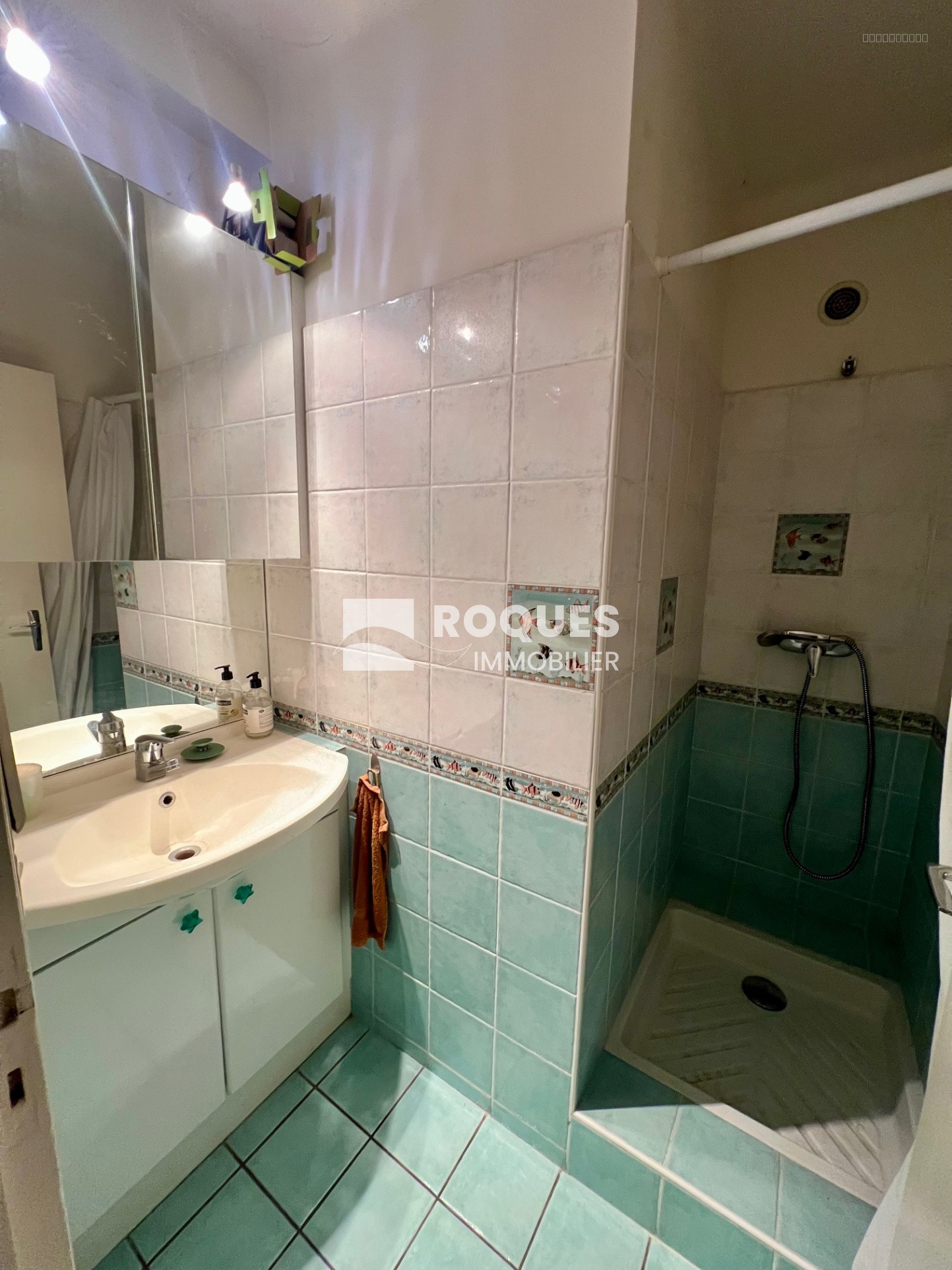 A vendre à Millau une maison T8 avec garage piscine pool house et jardin — photo 13
