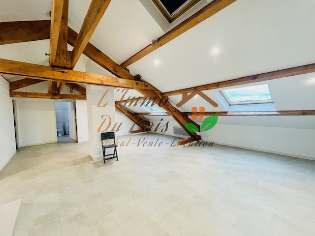 APPARTEMENT ATYPIQUE — photo 3