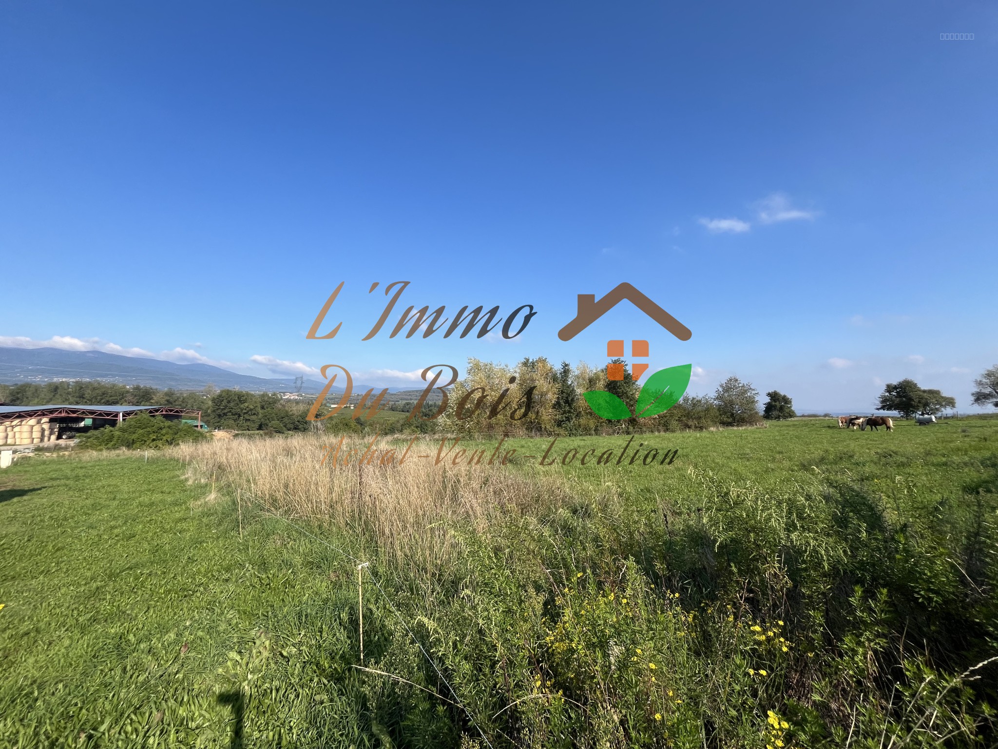 TERRAIN CONSTRUCTIBLE A CHARNAS 1 003 m2 — photo 1