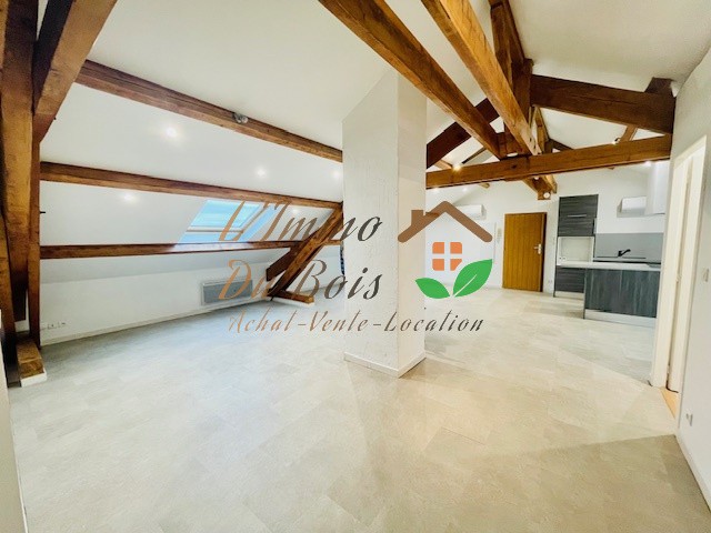 APPARTEMENT ATYPIQUE — photo 2
