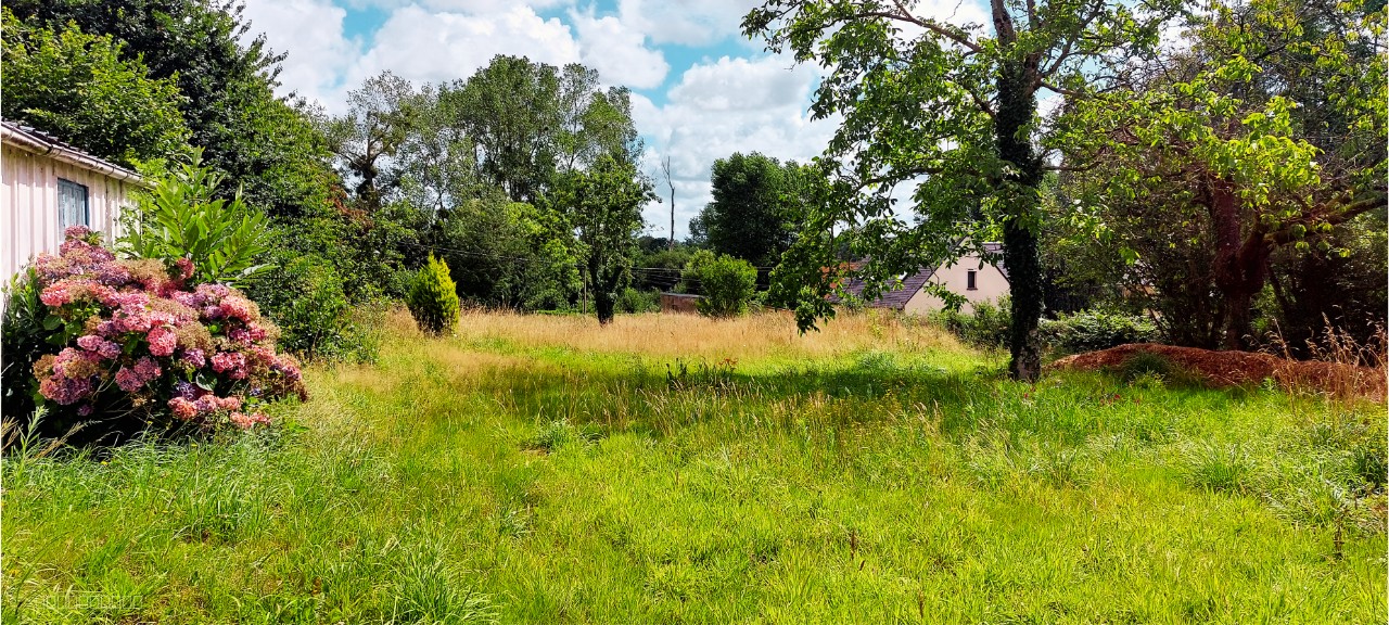 TERRAIN CONSTRUCTIBLE VIABILISE DE 2480m2 sur QUETTREVILLE-SUR-SIENNE. — photo 2