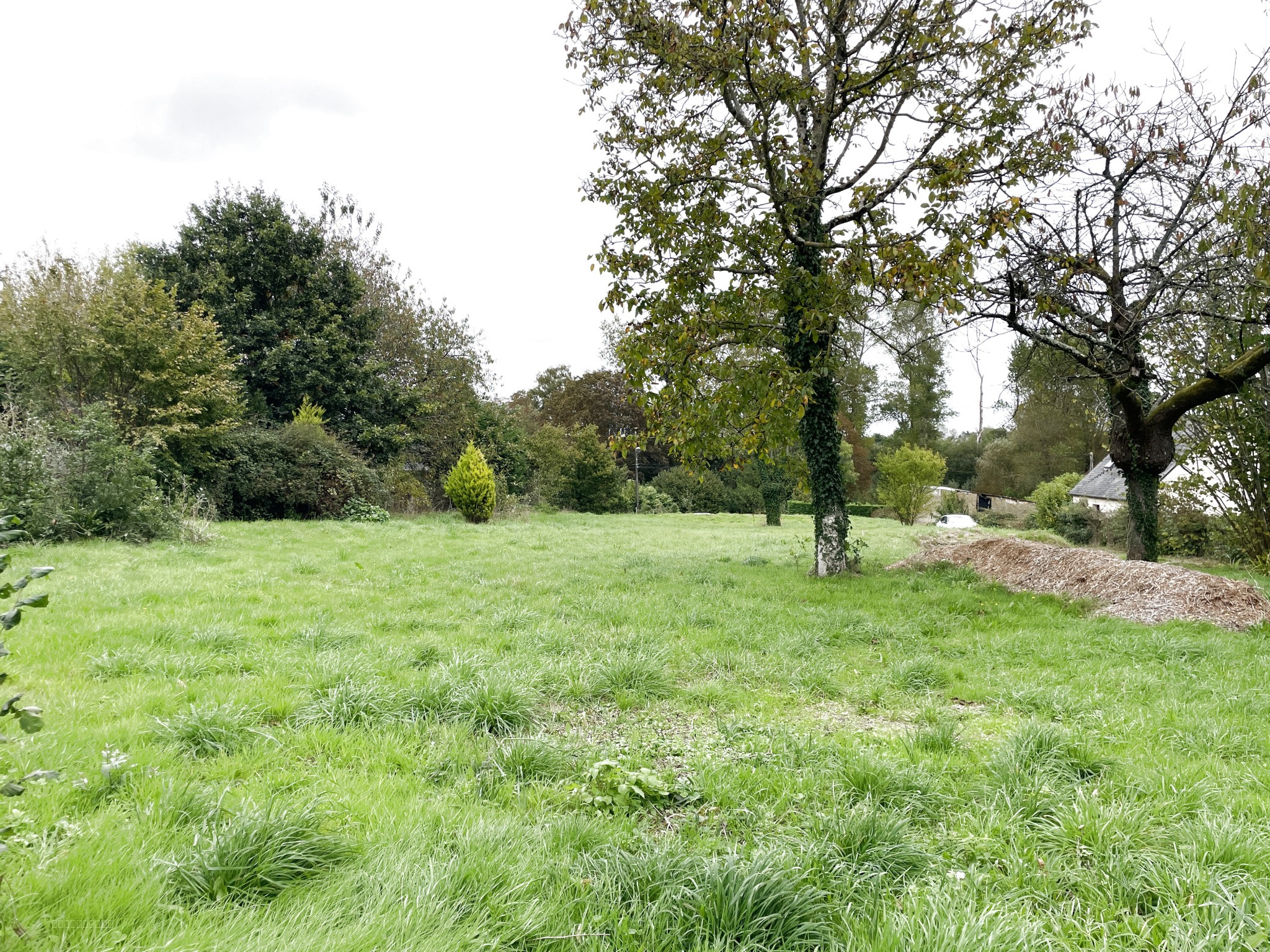 TERRAIN CONSTRUCTIBLE VIABILISE DE 2480m2 sur QUETTREVILLE-SUR-SIENNE. — photo 4