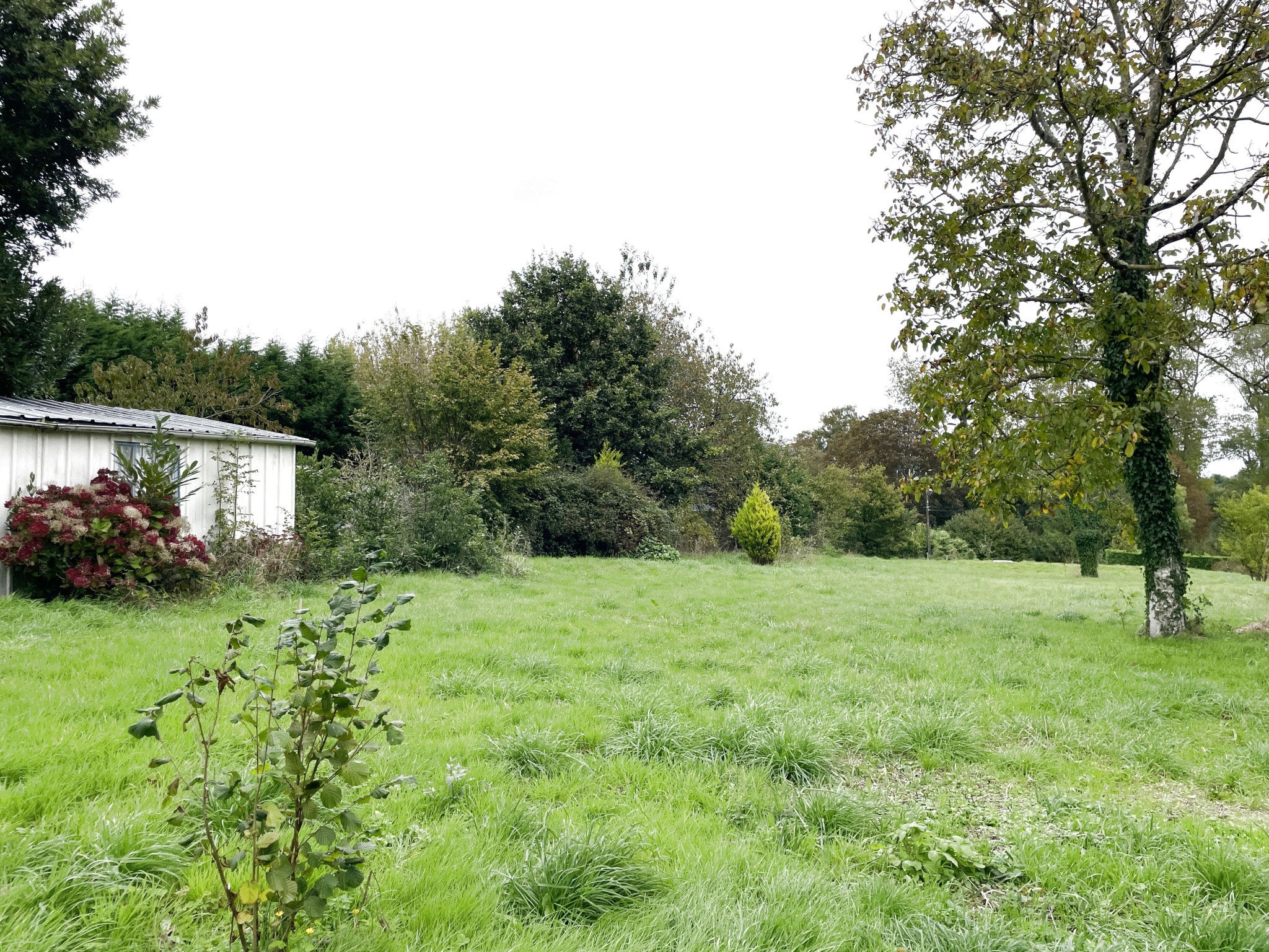 TERRAIN CONSTRUCTIBLE VIABILISE DE 2480m2 sur QUETTREVILLE-SUR-SIENNE. — photo 5