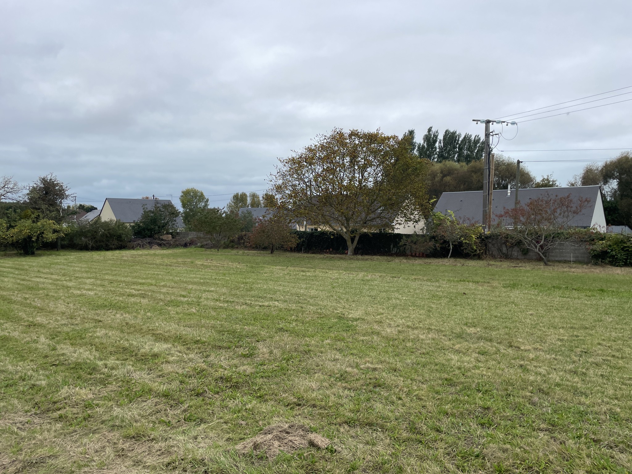 Terrains constructibles 548 m2 et 520 m2 TOURNEVILLE-SUR-MER (secteur Lingreville) — photo 2