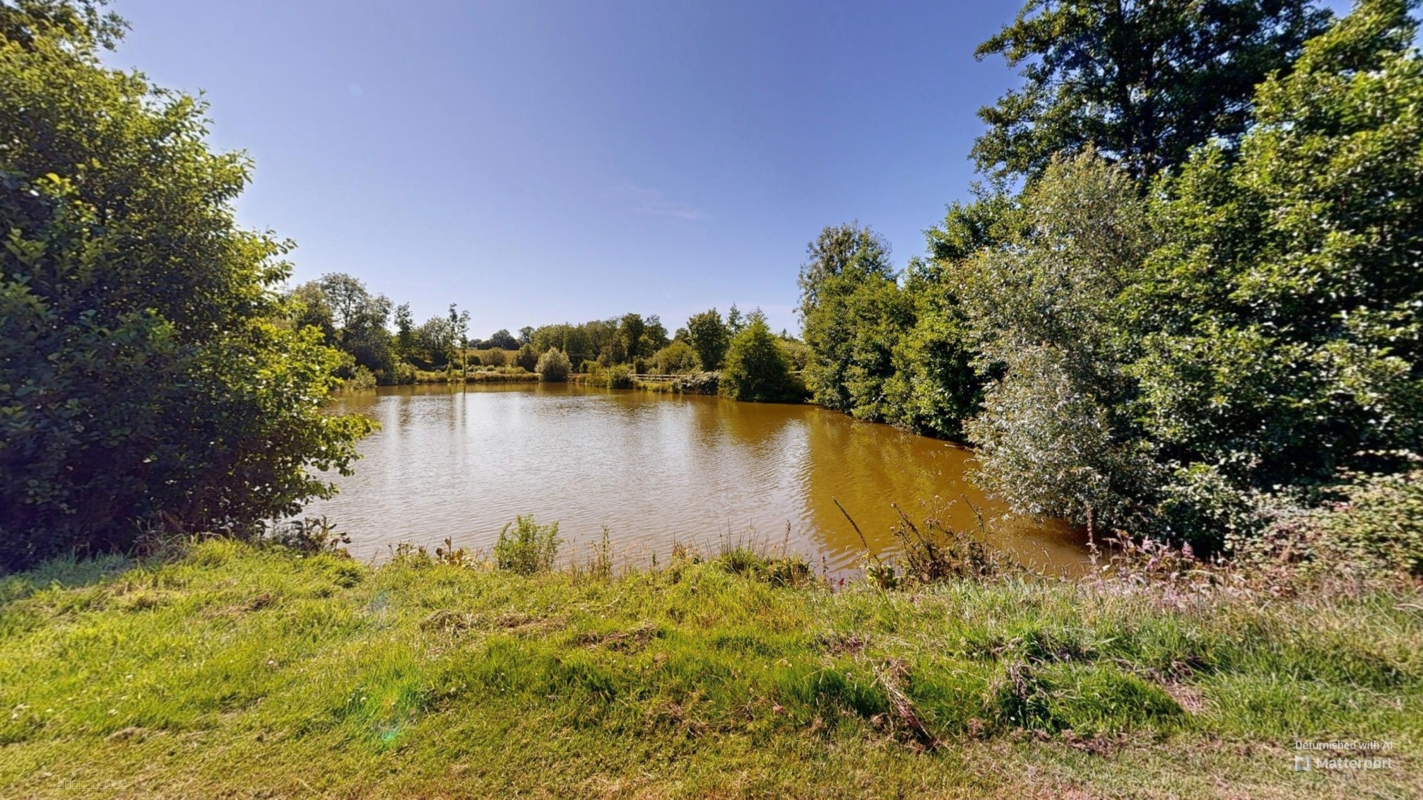 Propriété d'exception avec Gites - 403 m2 sur terrain de 8,5 hectares avec dépendances et étangs. — photo 10